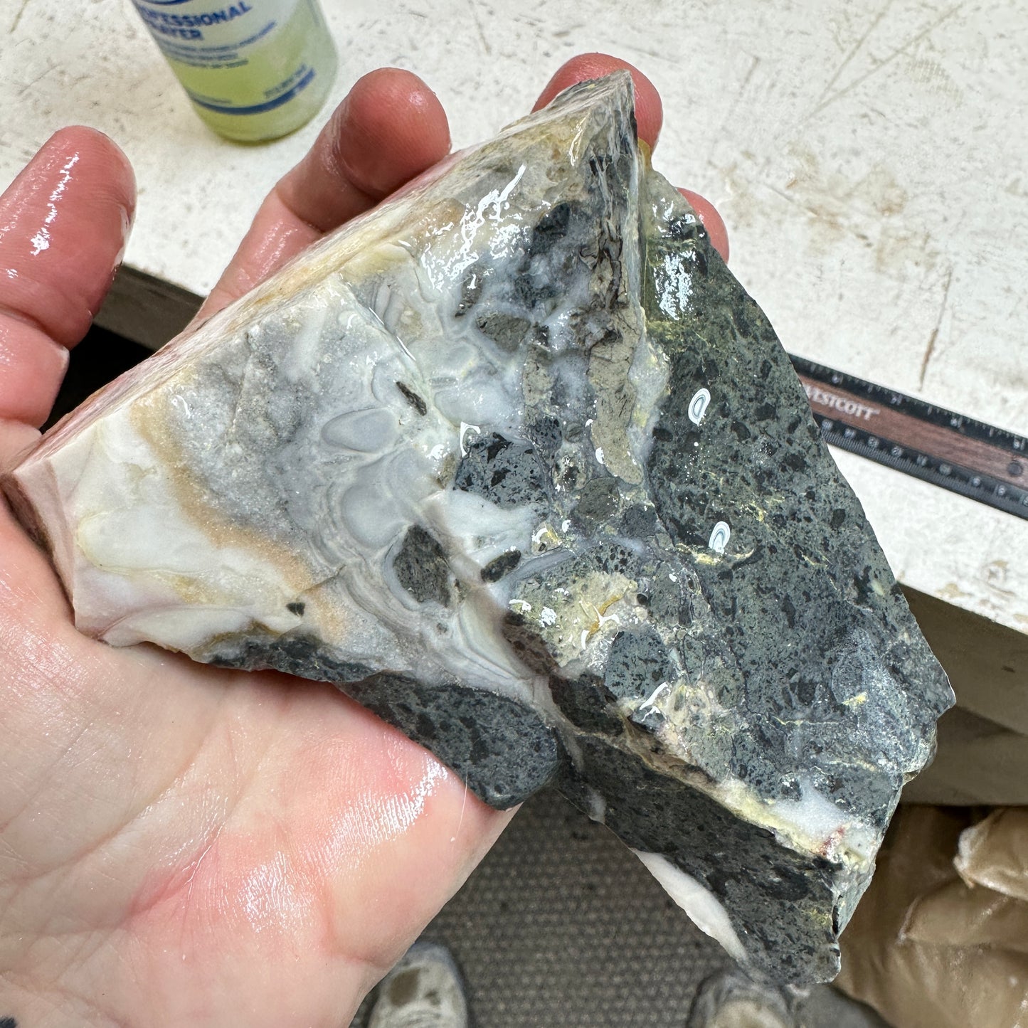 WINDY MOUNTAIN AGATE Rough - 1.51 Pounds