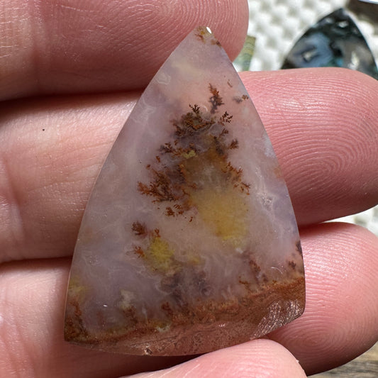 CAREY PLUME AGATE cabochon