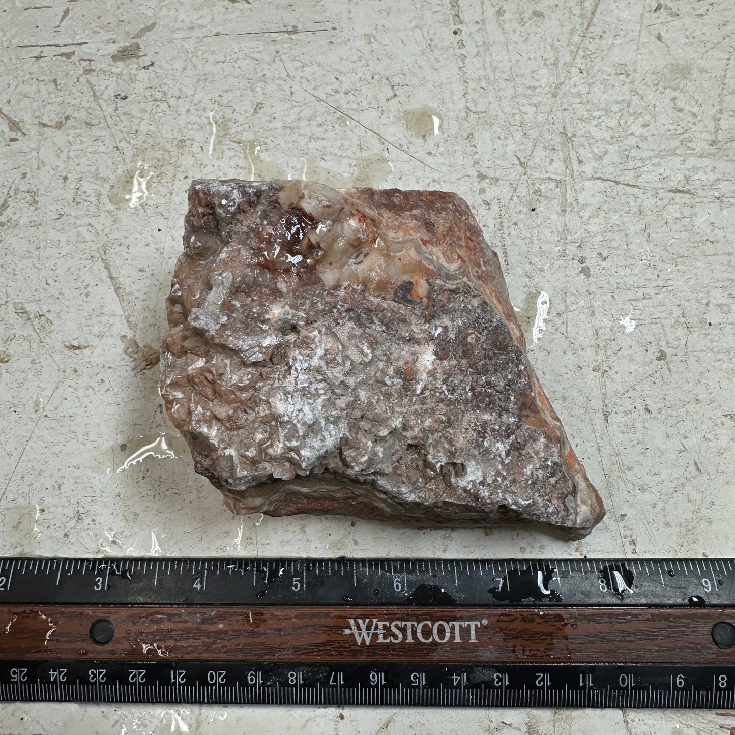 CRAZY LACE AGATE Rough - 0.95 pounds
