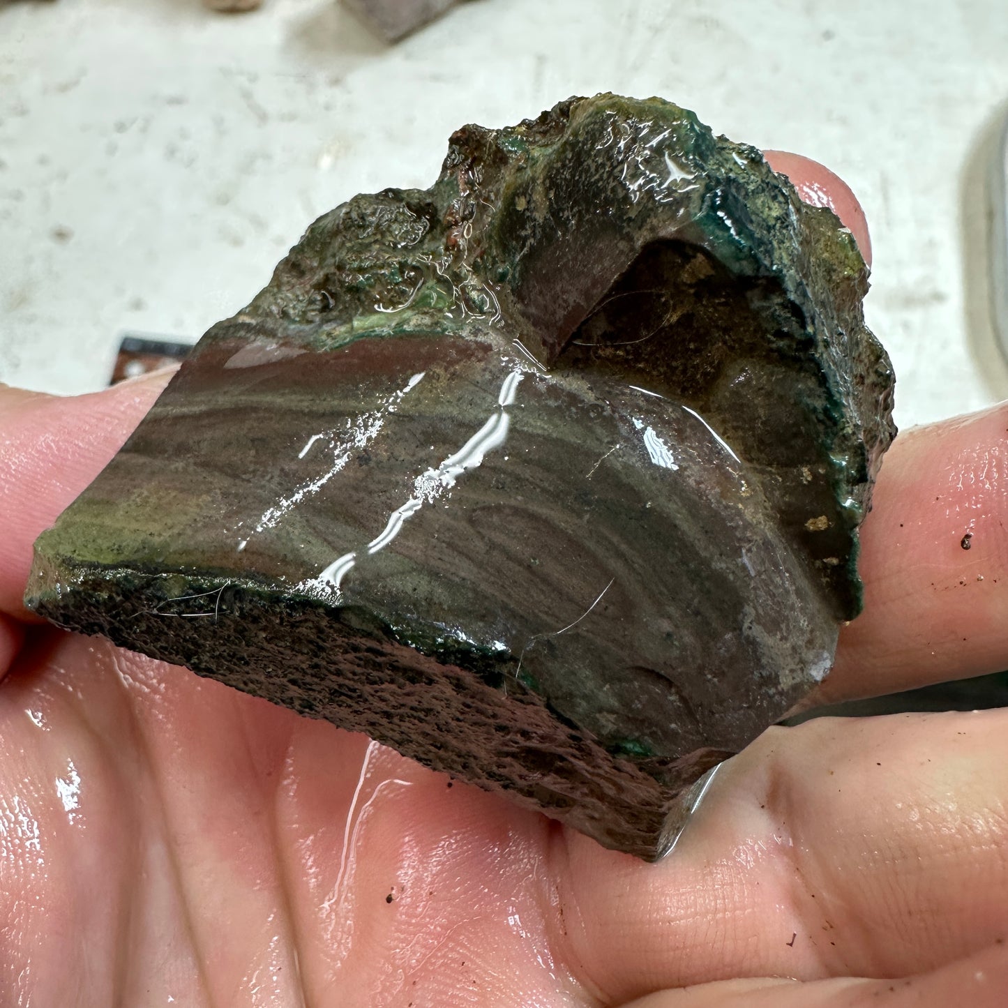 Orbed ECHO RIDGE JASPER Rough - 0.23 Pounds