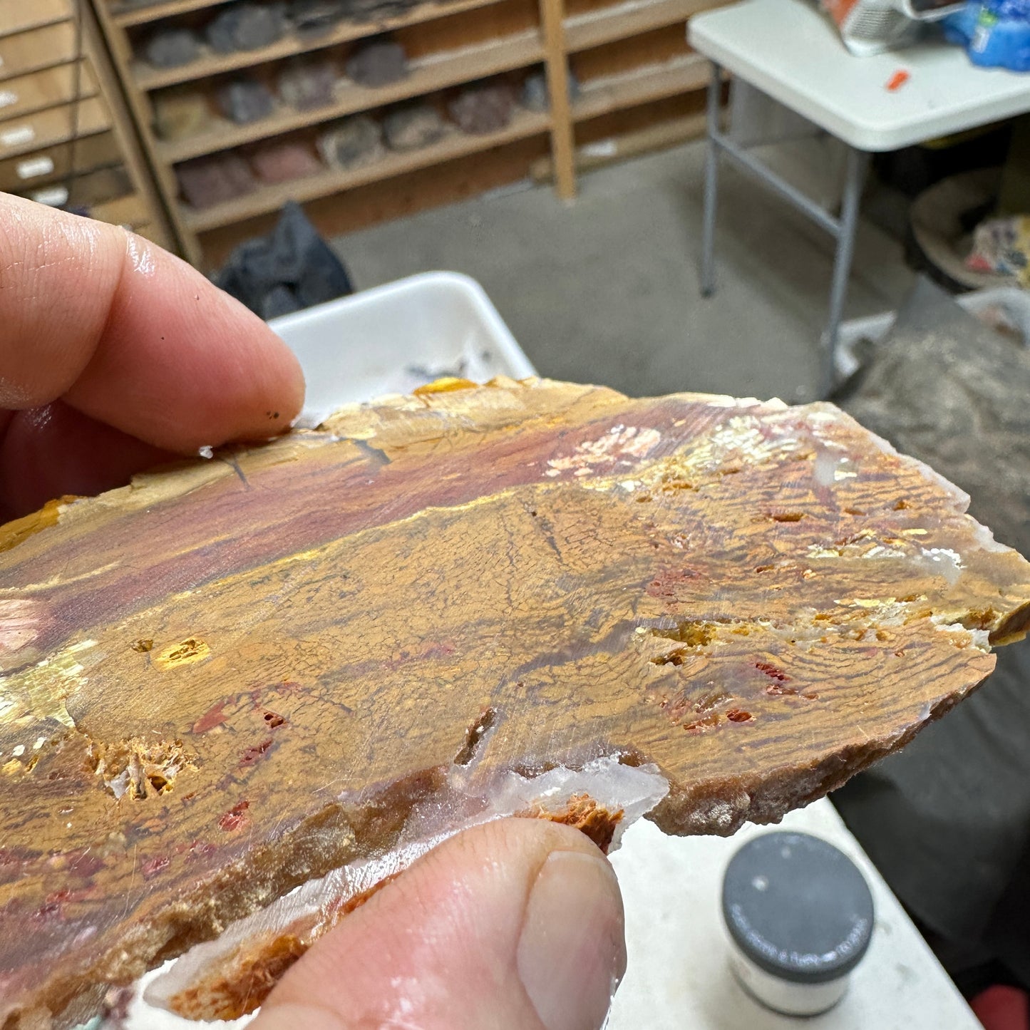 HOWARDITE Slab - 102 grams