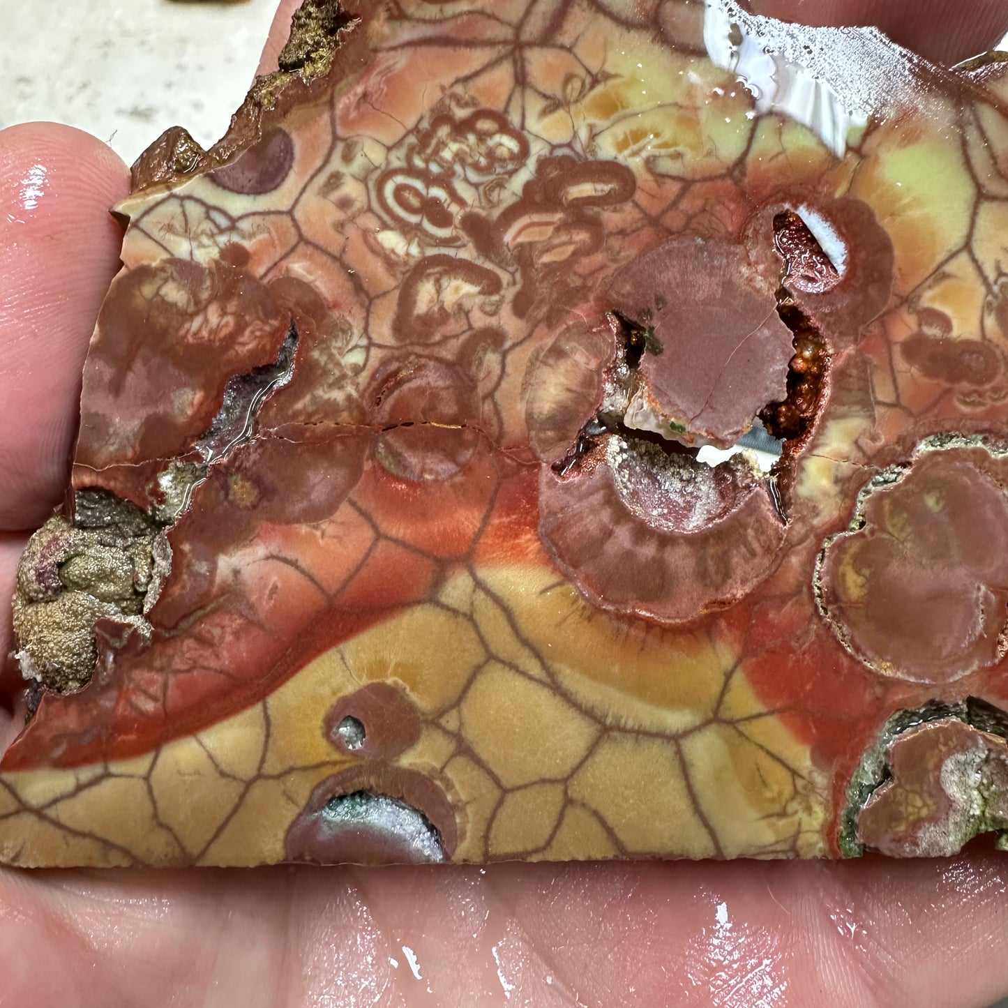 SPIDERWEB JASPER Slab - 99 grams