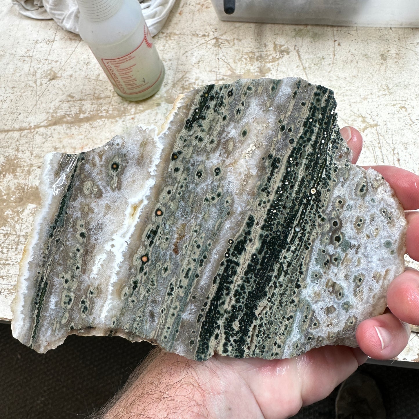 OCEAN JASPER Slab - 299 grams