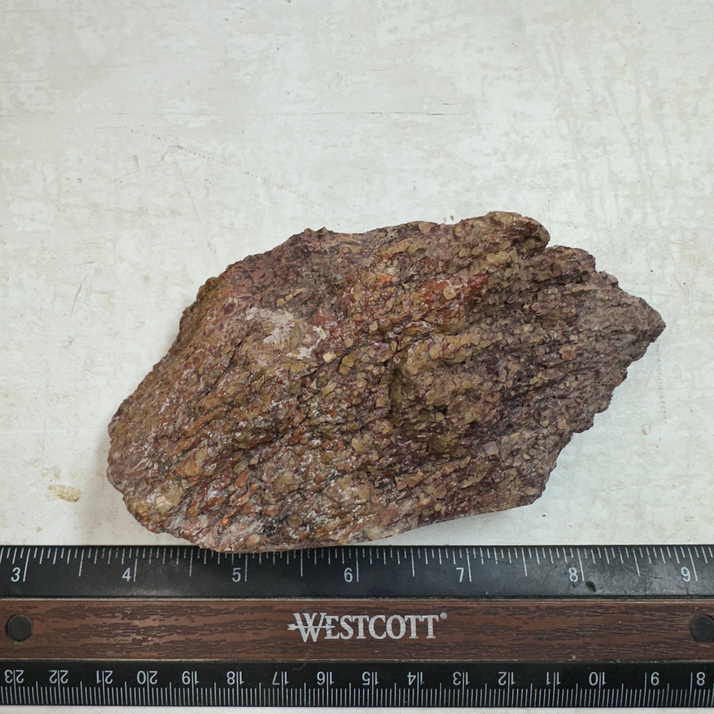 GEMBONE Dinosaur Bone Faced Rough - 12.4 ounces