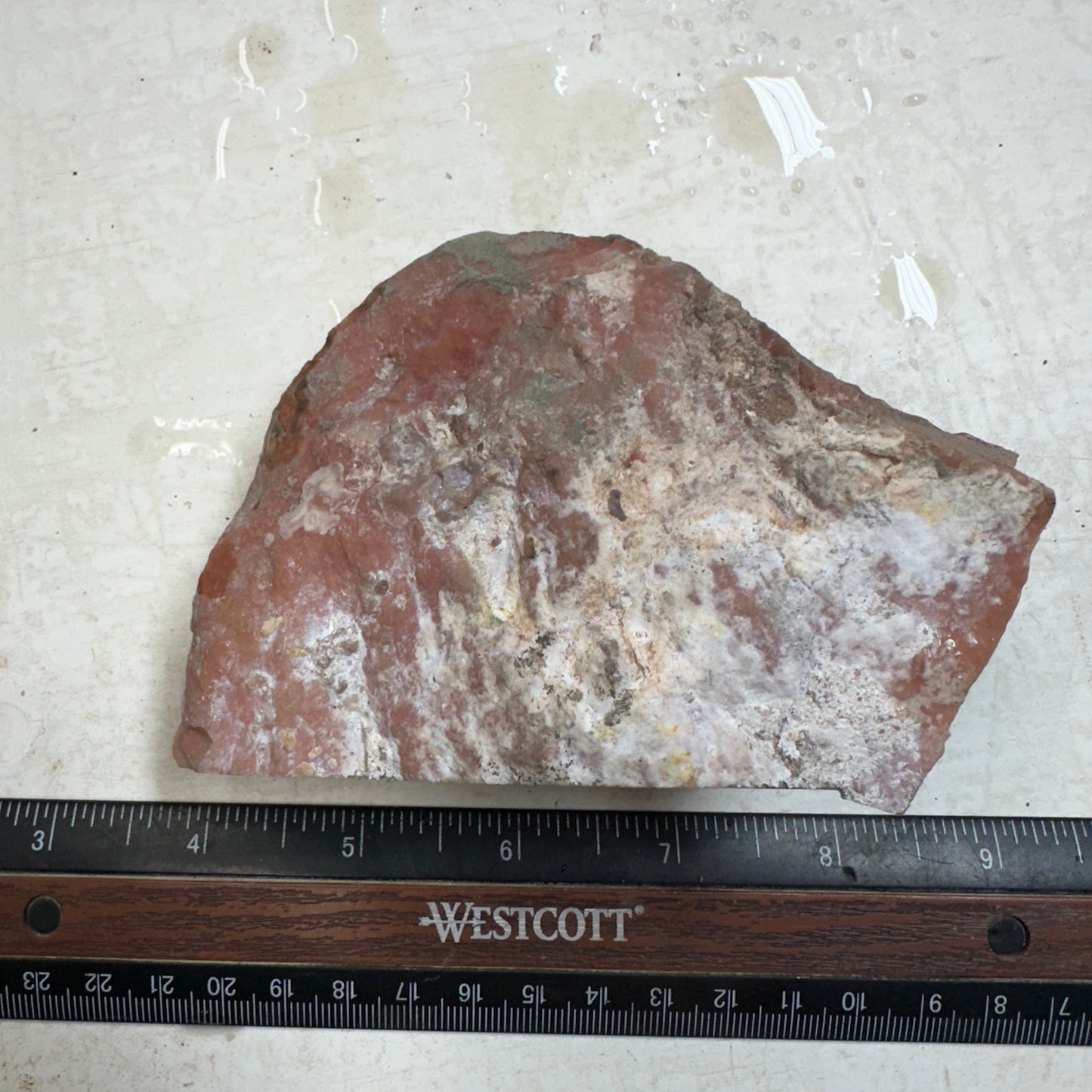 WINDY MOUNTAIN JASPER Faced Rough - 1.36 Pounds