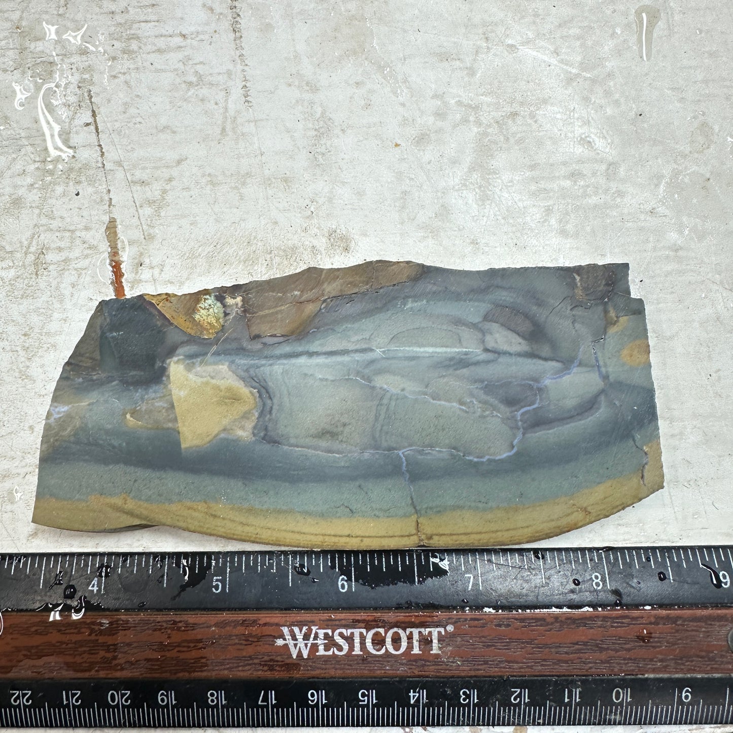 ECHO RIDGE JASPER Slab - 105 grams