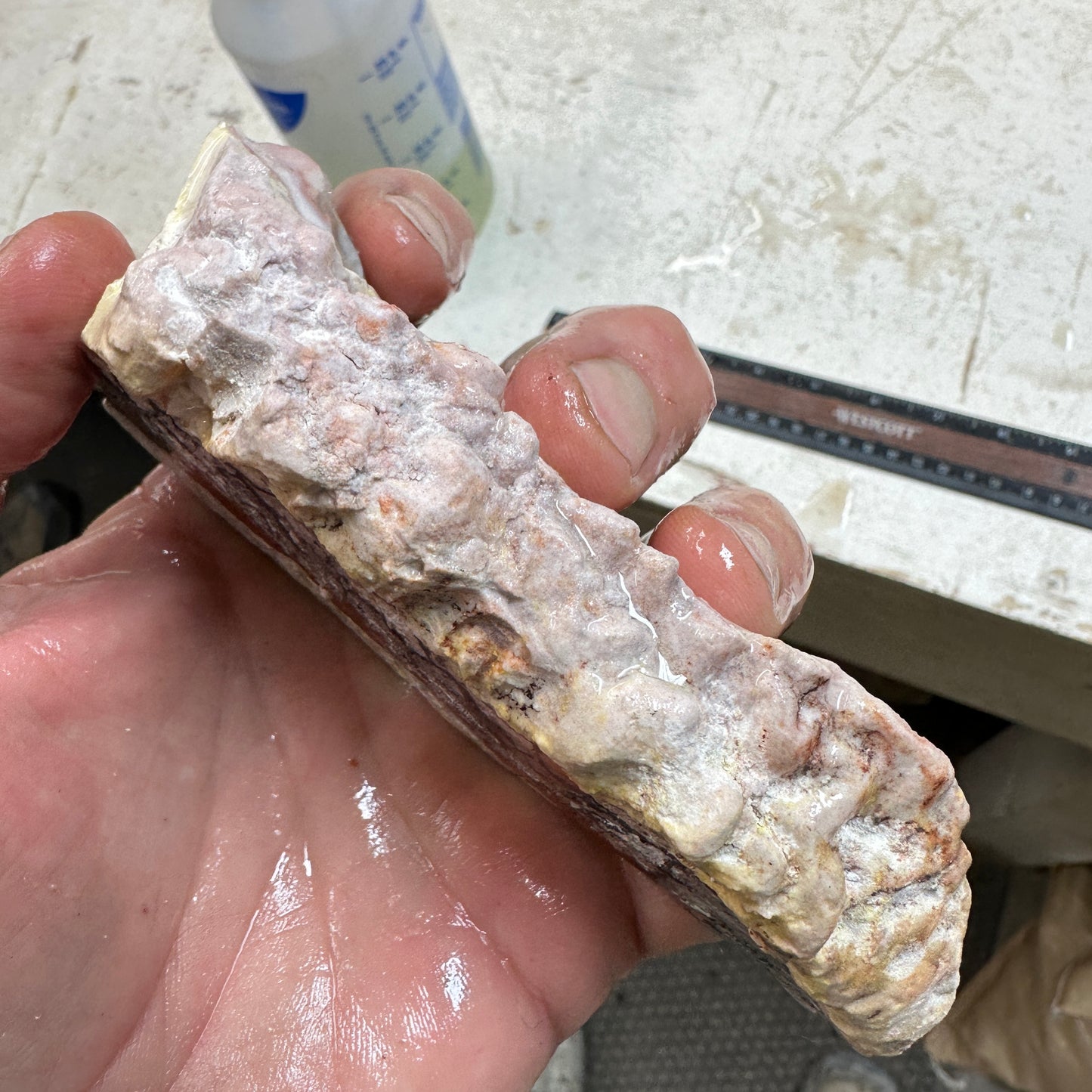 WINDY MOUNTAIN AGATE Rough - 0.72 Pounds