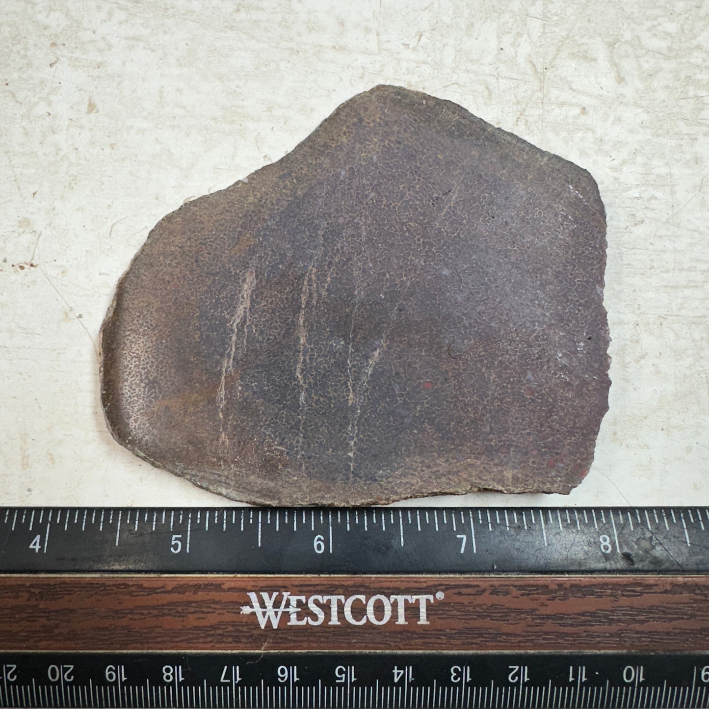 GEMBONE Dinosaur Bone Slab - 110 grams