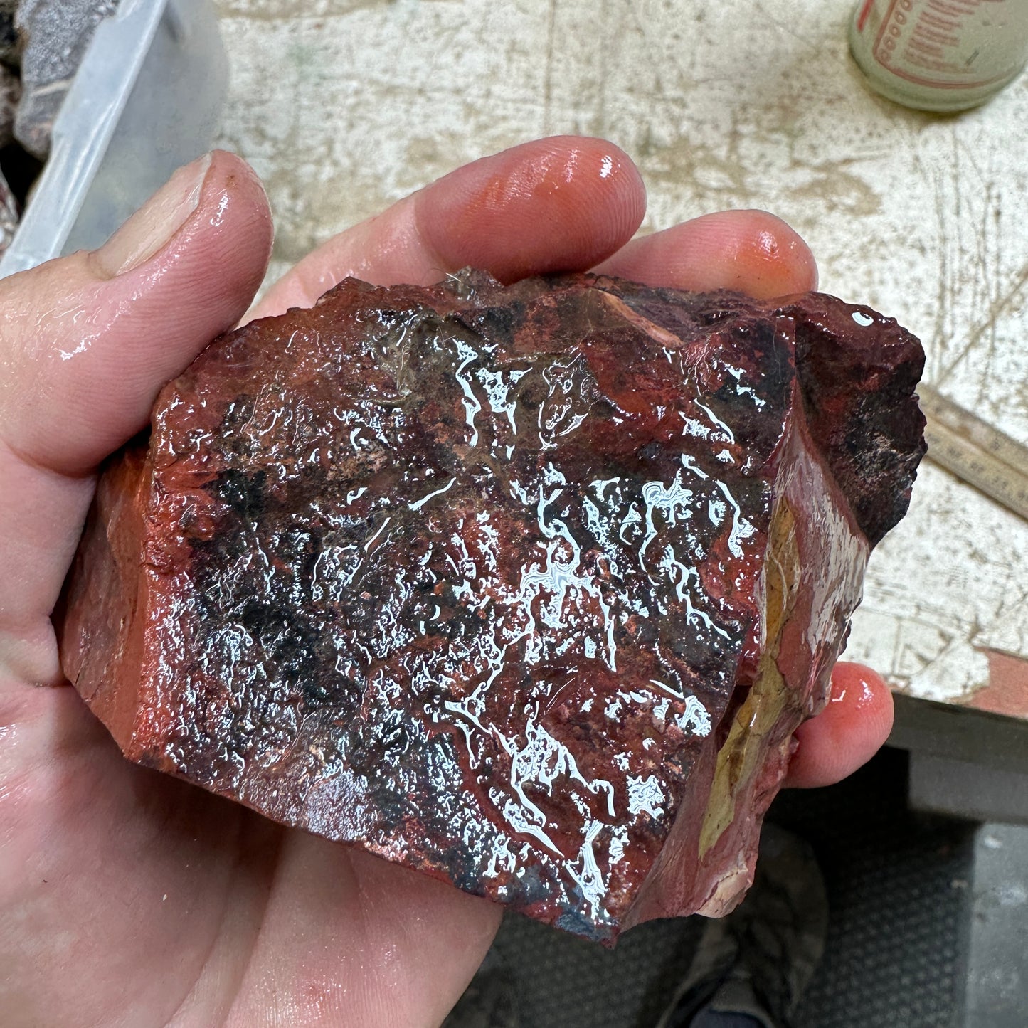 MESCALERO JASPER Faced Rough - 1.60 Pounds