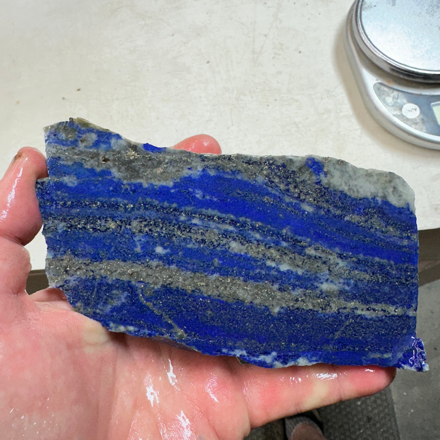 LAPIS LAZULI Faced End Cut Rough - 1.95 Pounds