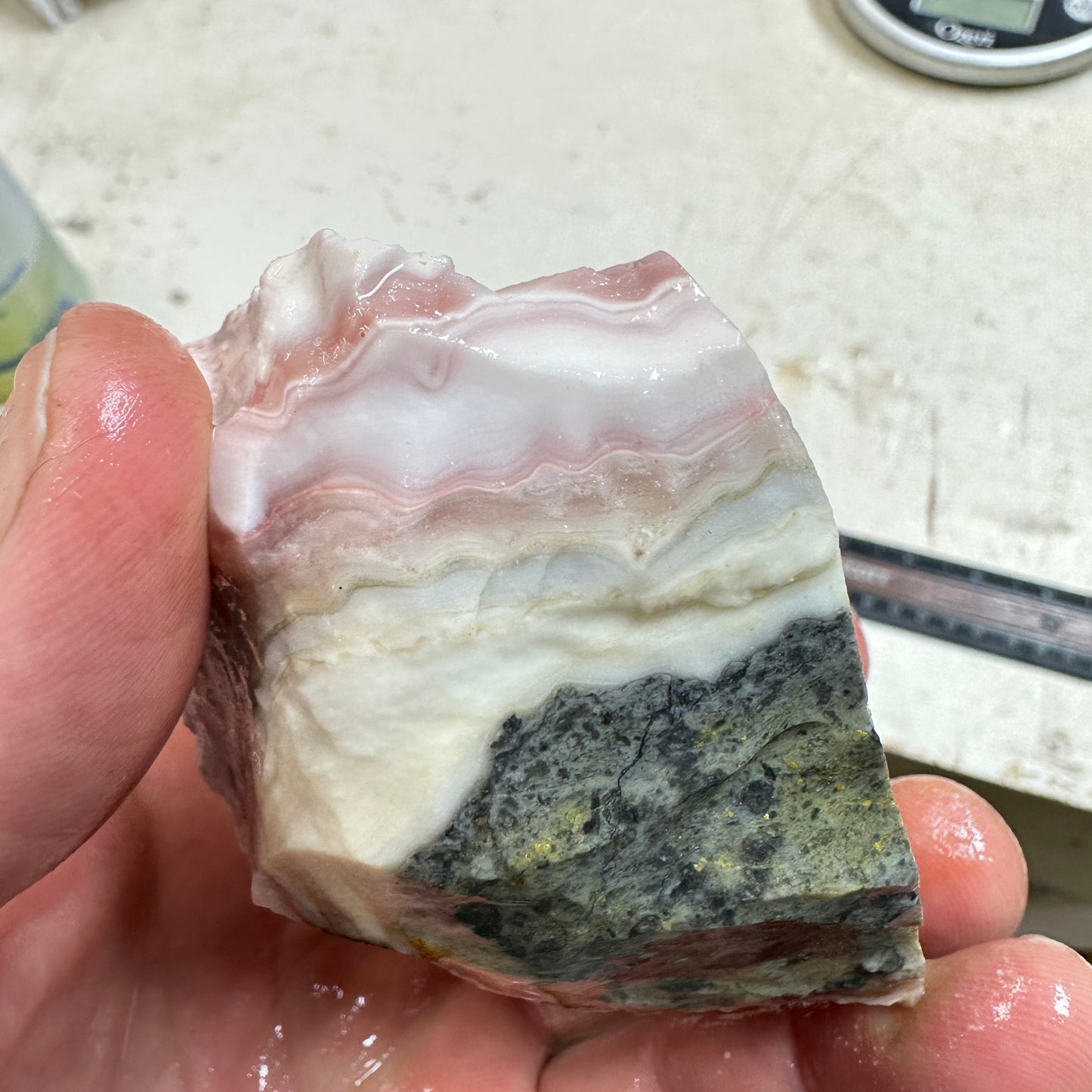 WINDY MOUNTAIN AGATE Rough - 0.70 Pounds
