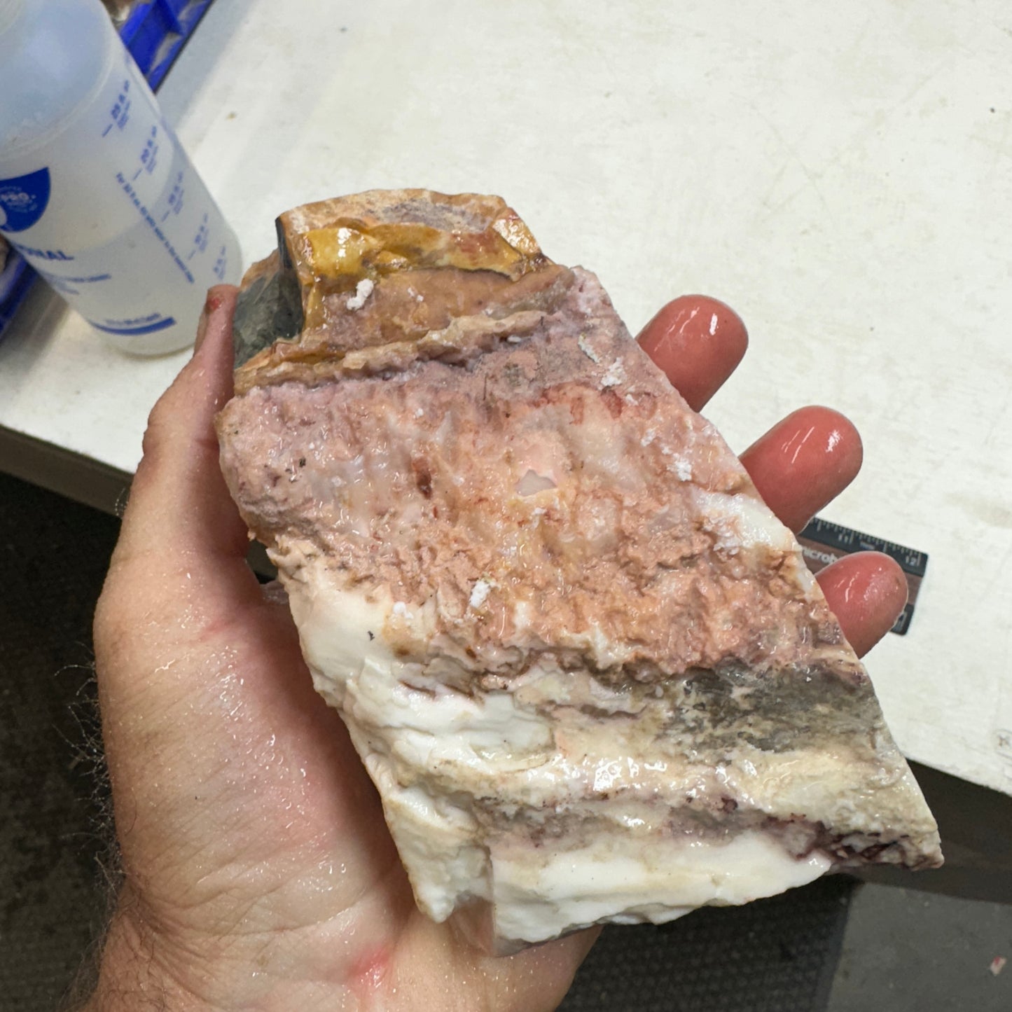 WINDY MOUNTAIN AGATE Rough - 2.51 Pounds