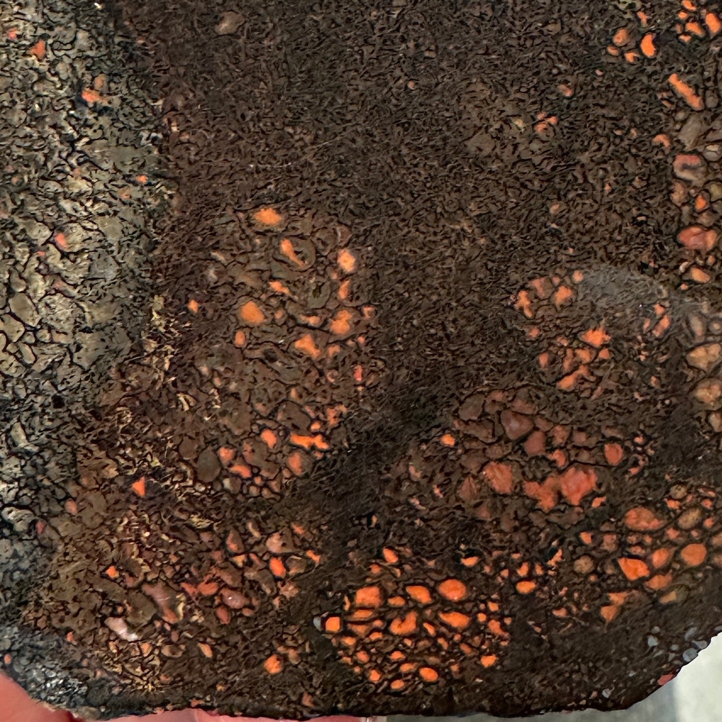 GEMBONE Dinosaur Bone Slab - 133 grams