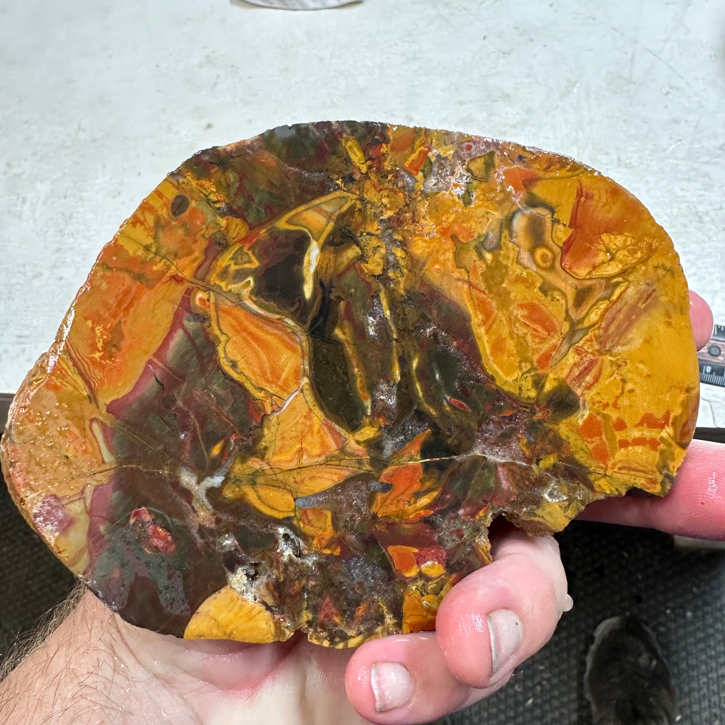 AMAZON VALLEY JASPER Slab - 261 grams