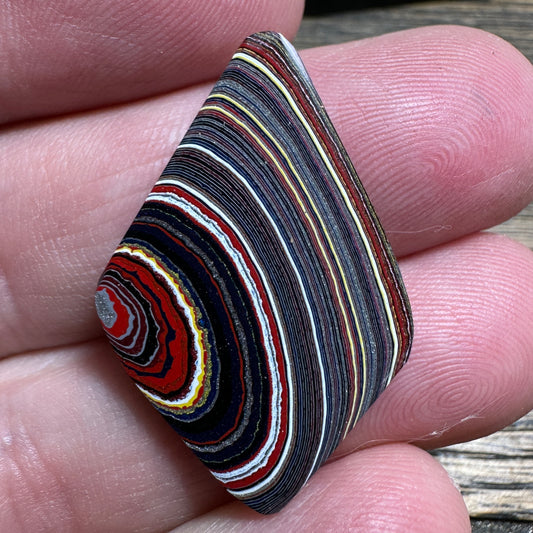 Corvette Fordite cabochon