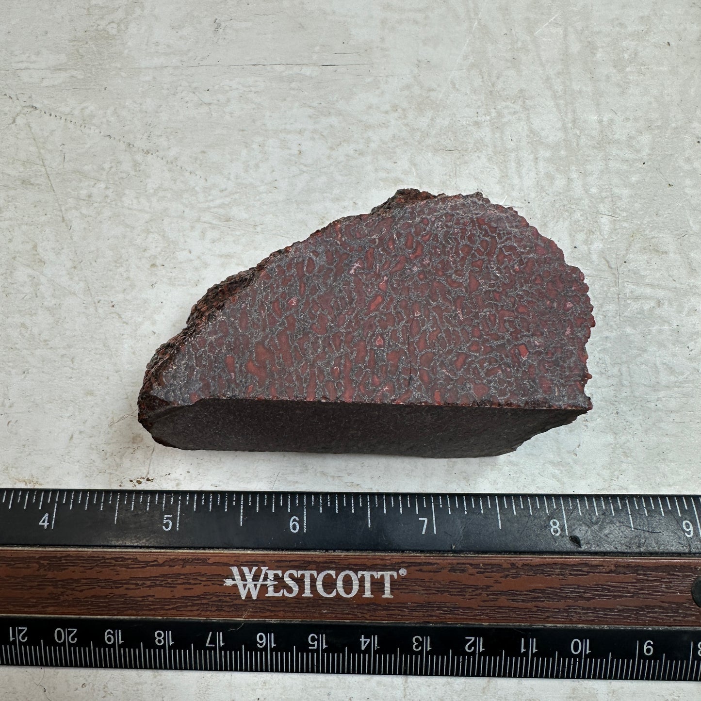 GEMBONE Dinosaur Bone Faced Rough - 201 grams