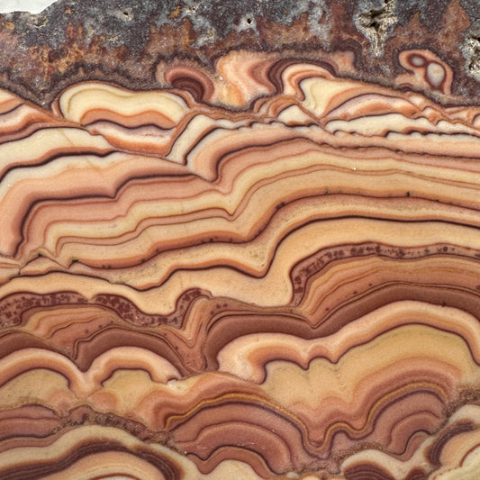 ROLLING HILLS DOLOMITE Slab - 233 grams