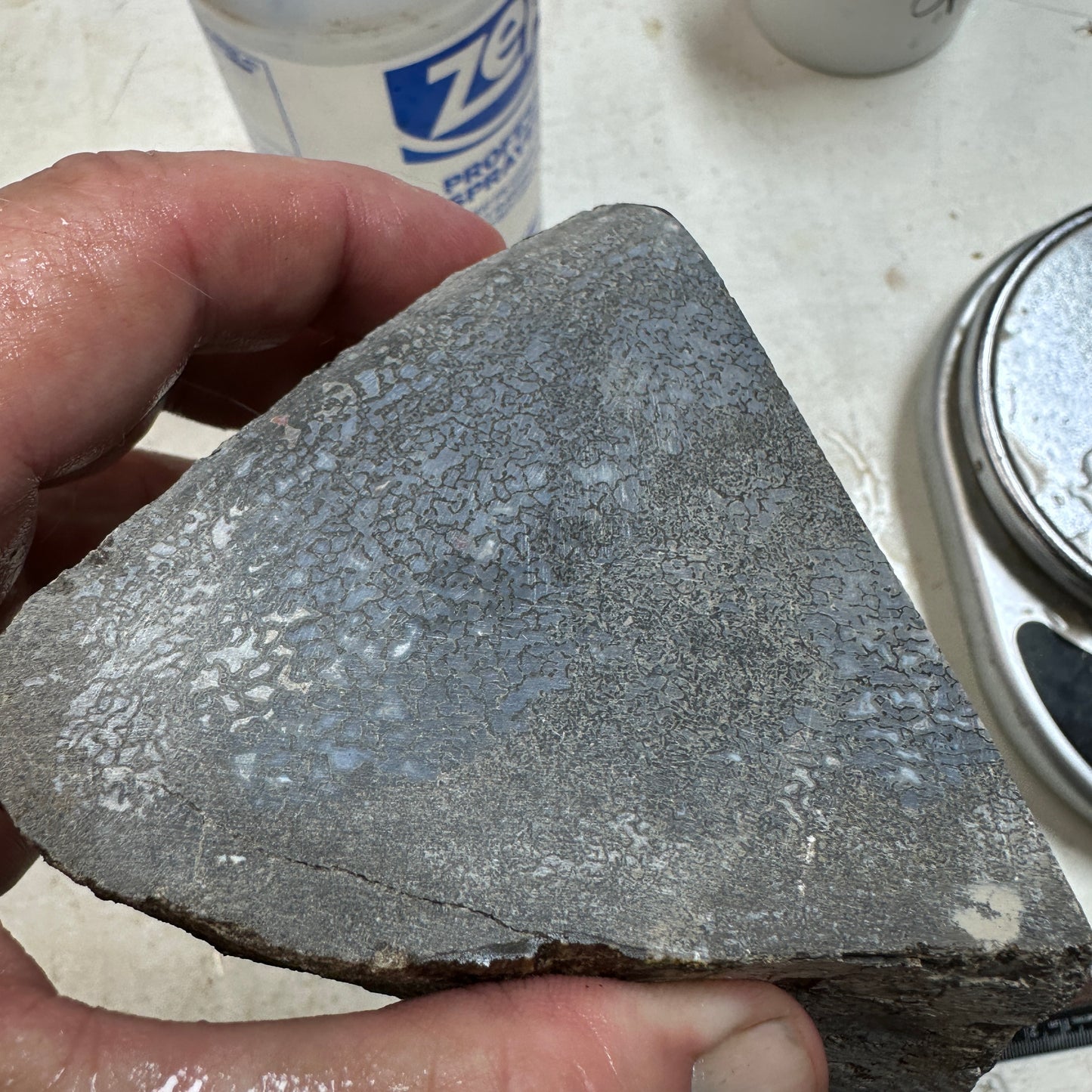 GEMBONE Dinosaur Bone Faced Rough - 2.11 Pounds