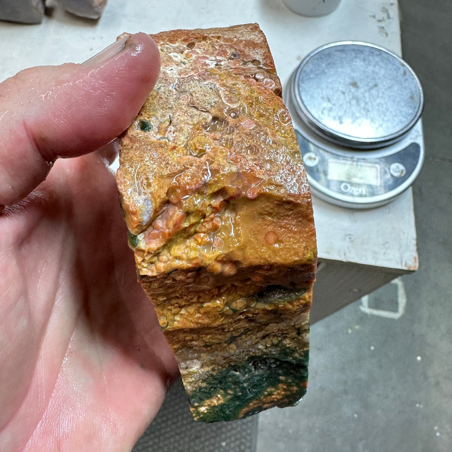 OCEAN JASPER Faced Rough - 1.63 Pounds