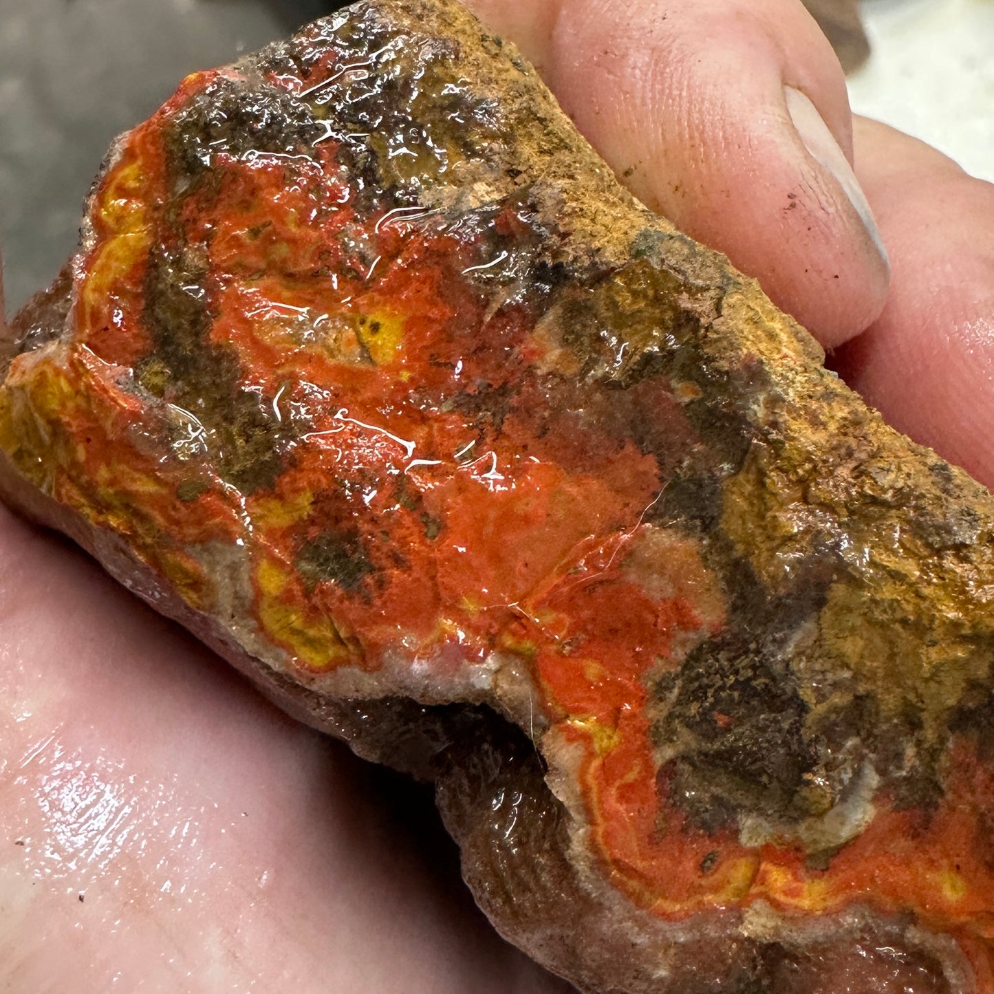 MOROCCAN SEAM AGATE Faced Rough - 1.39 Pounds