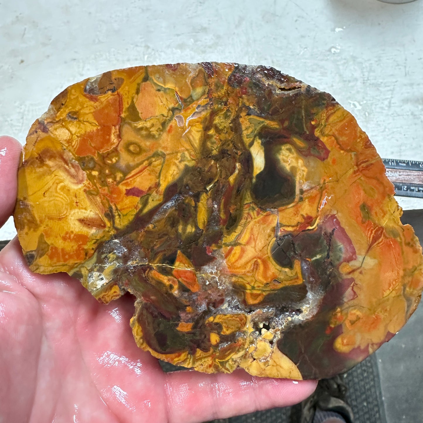 AMAZON VALLEY JASPER Slab - 261 grams