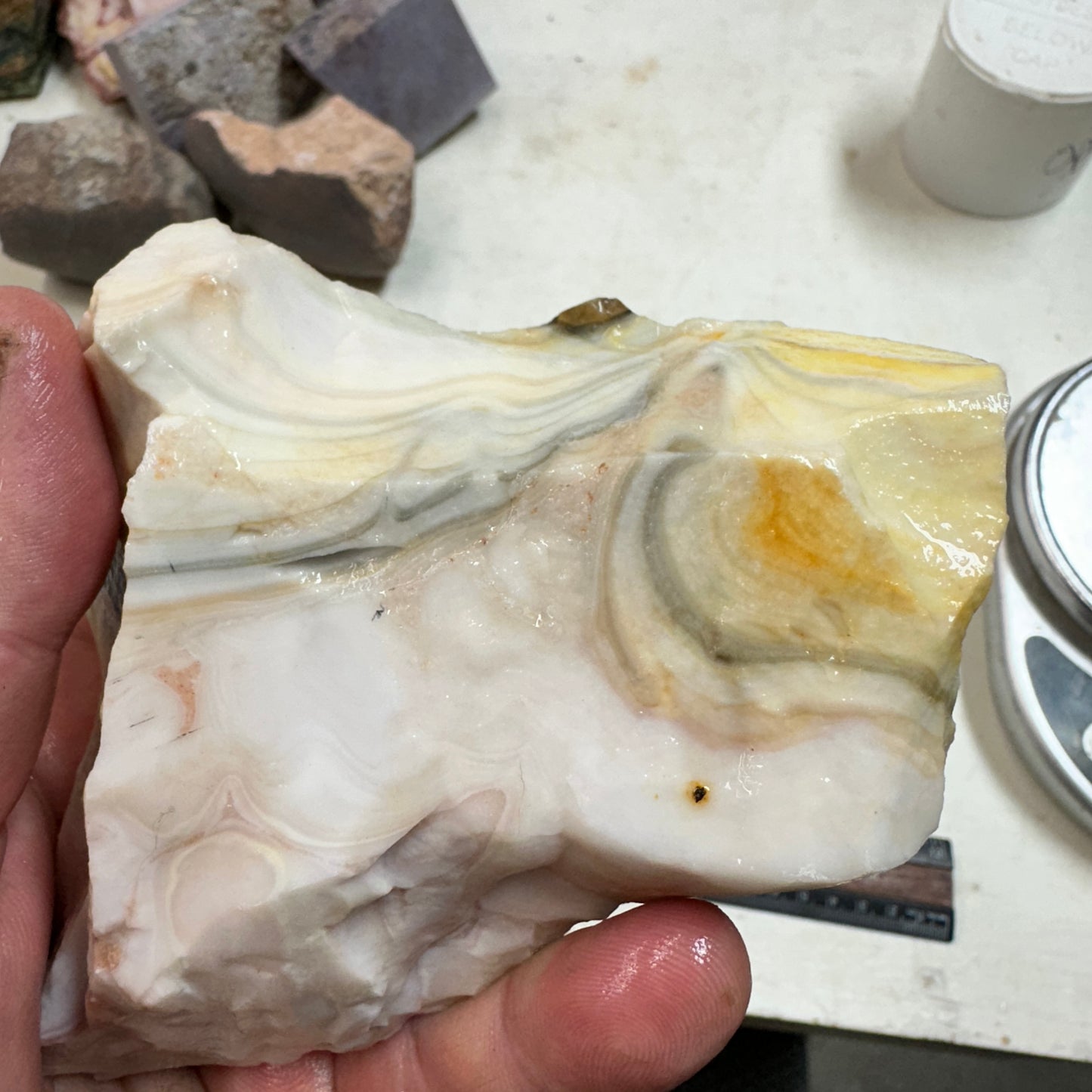 WINDY MOUNTAIN AGATE Rough - 1.38 Pounds