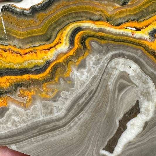 BUMBLEBEE ONYX Slab - 177 grams