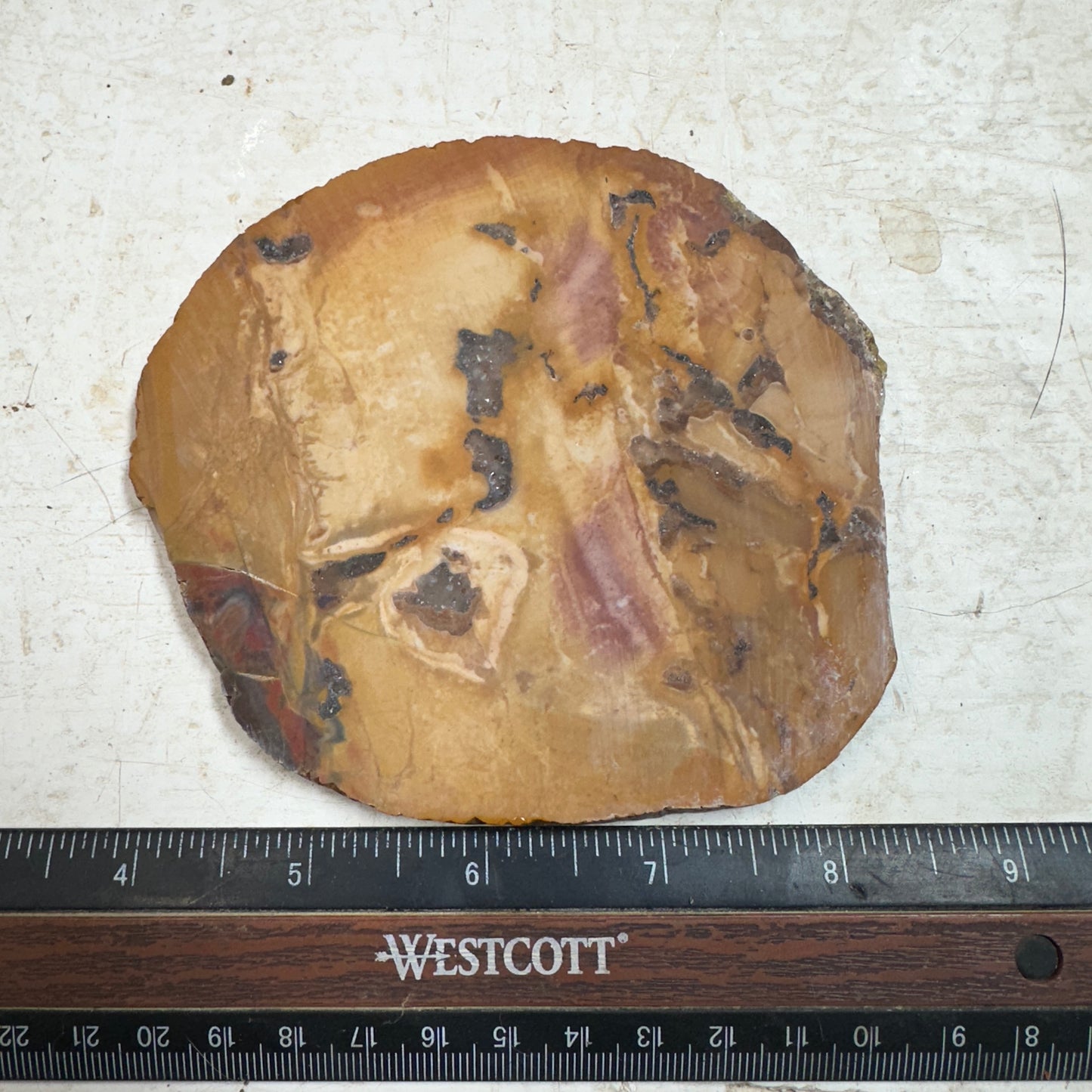 AMAZON VALLEY JASPER Slab - 160 grams