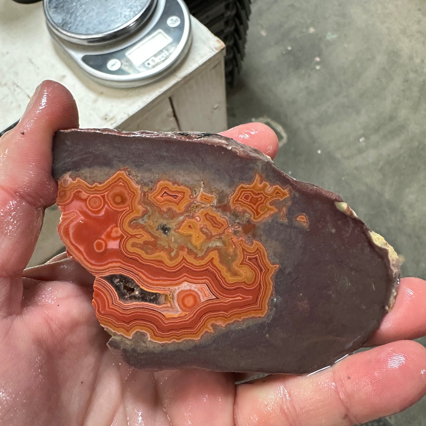 DRYHEAD AGATE Faced Rough - 0.73 Pounds