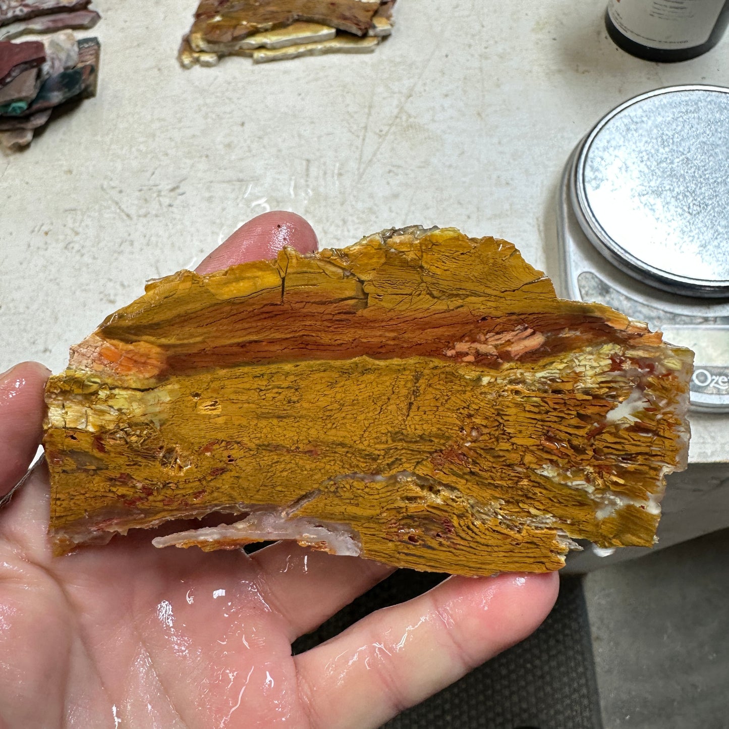 HOWARDITE Slab - 102 grams