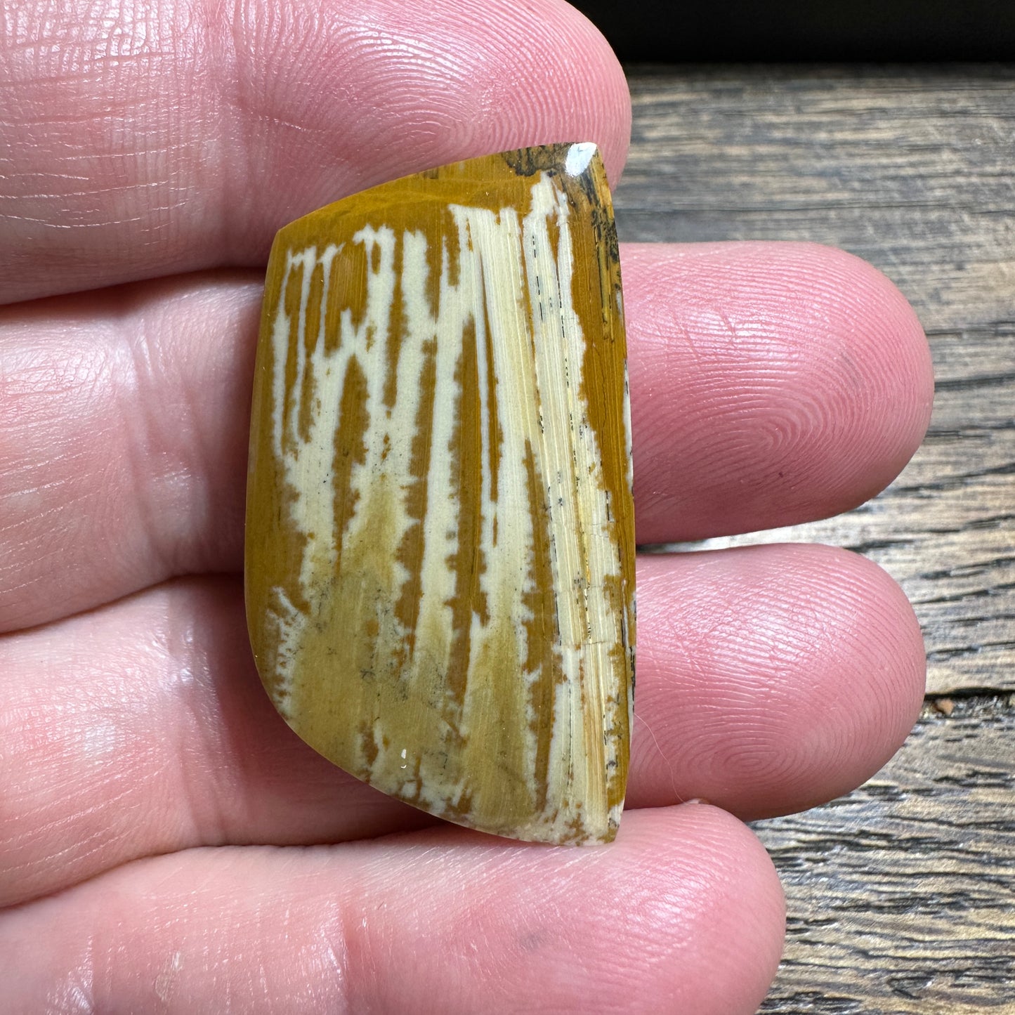 OWYHEE JASPER cabochon