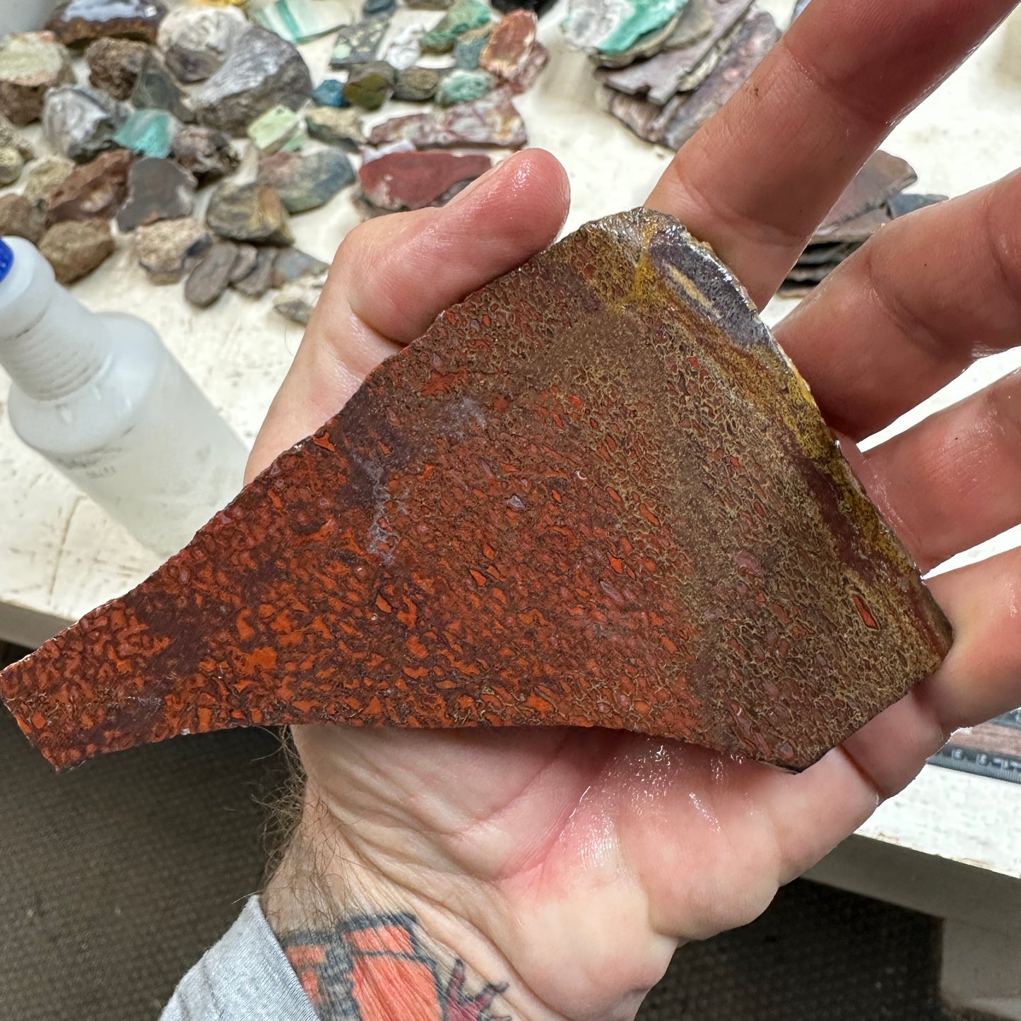 GEMBONE Dinosaur Bone Slab - 110 grams