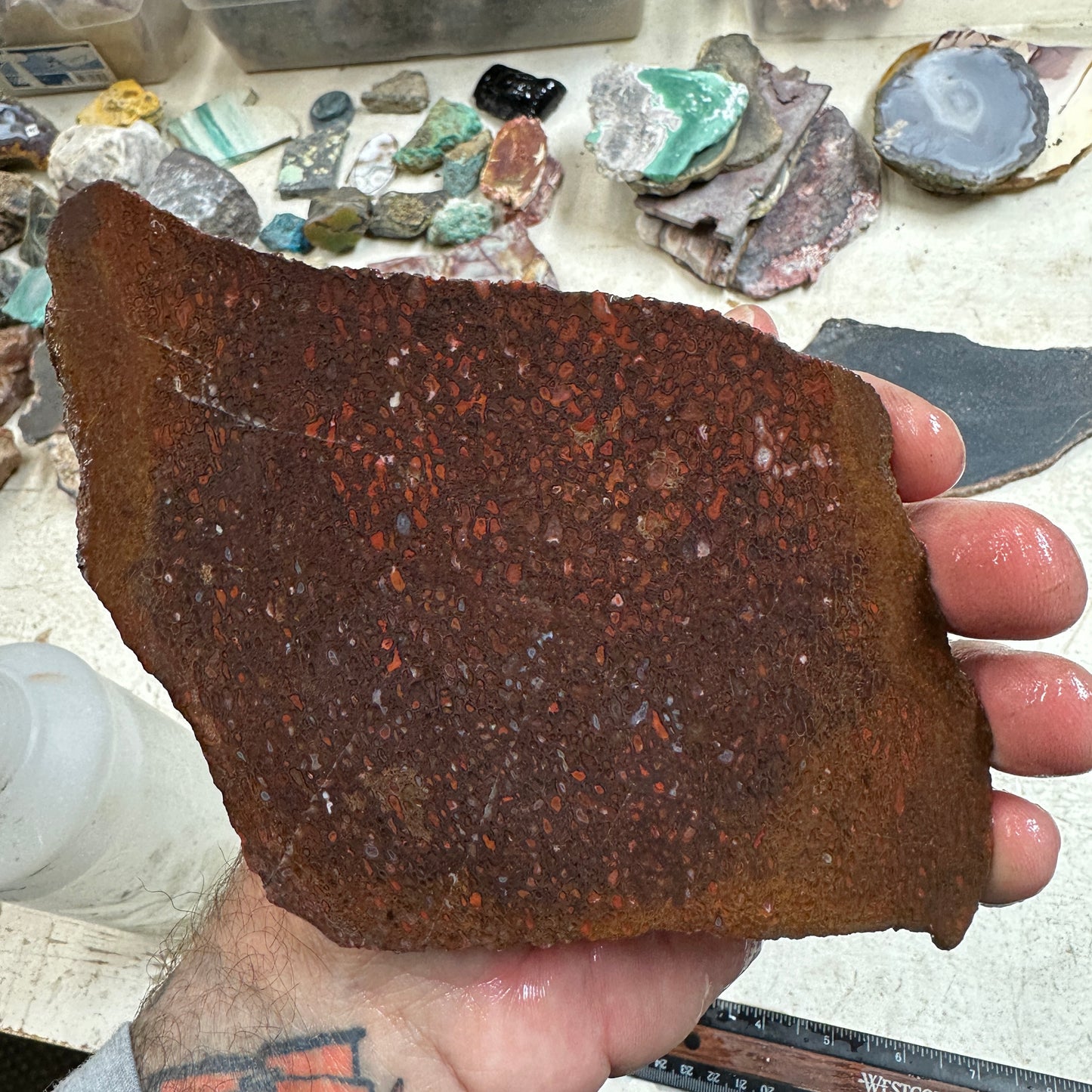 GEMBONE Dinosaur Bone Slab - 196 grams