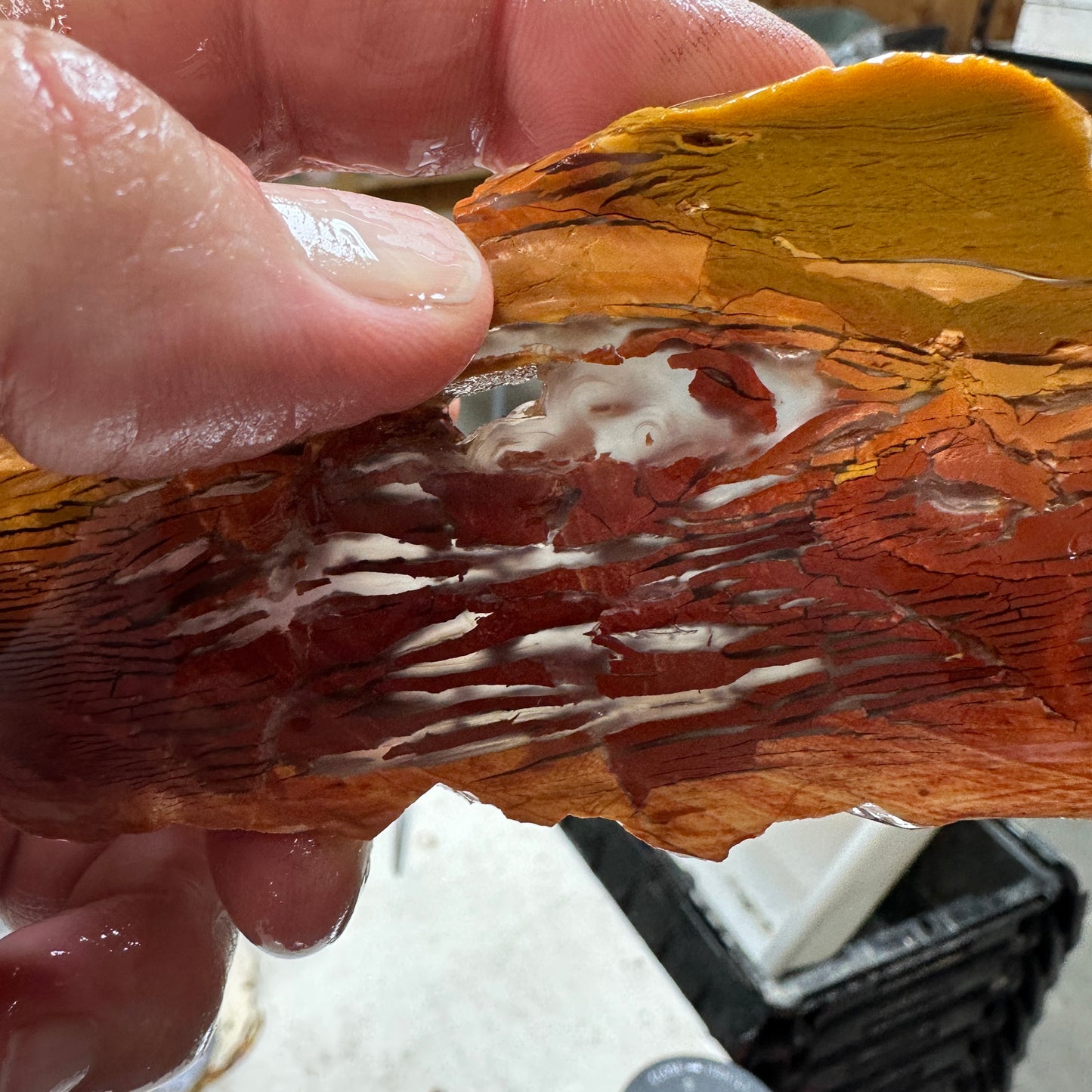 SUNSET HOWARDITE Slab - 73 grams