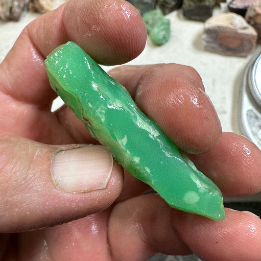 Tanzanian CHRYSOPRASE Rough 58.2 grams