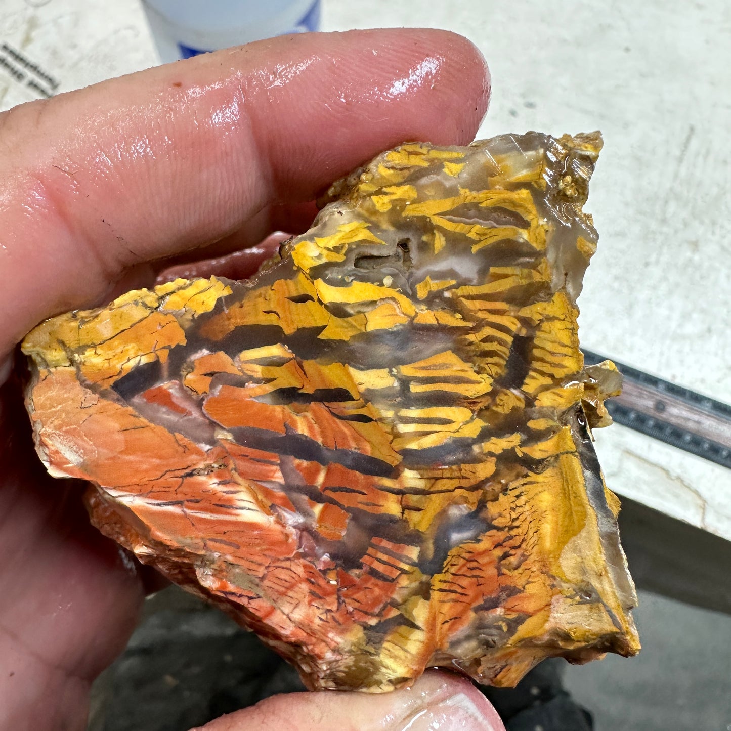 Golden HOWARDITE Faced Rough - 14.9ozs