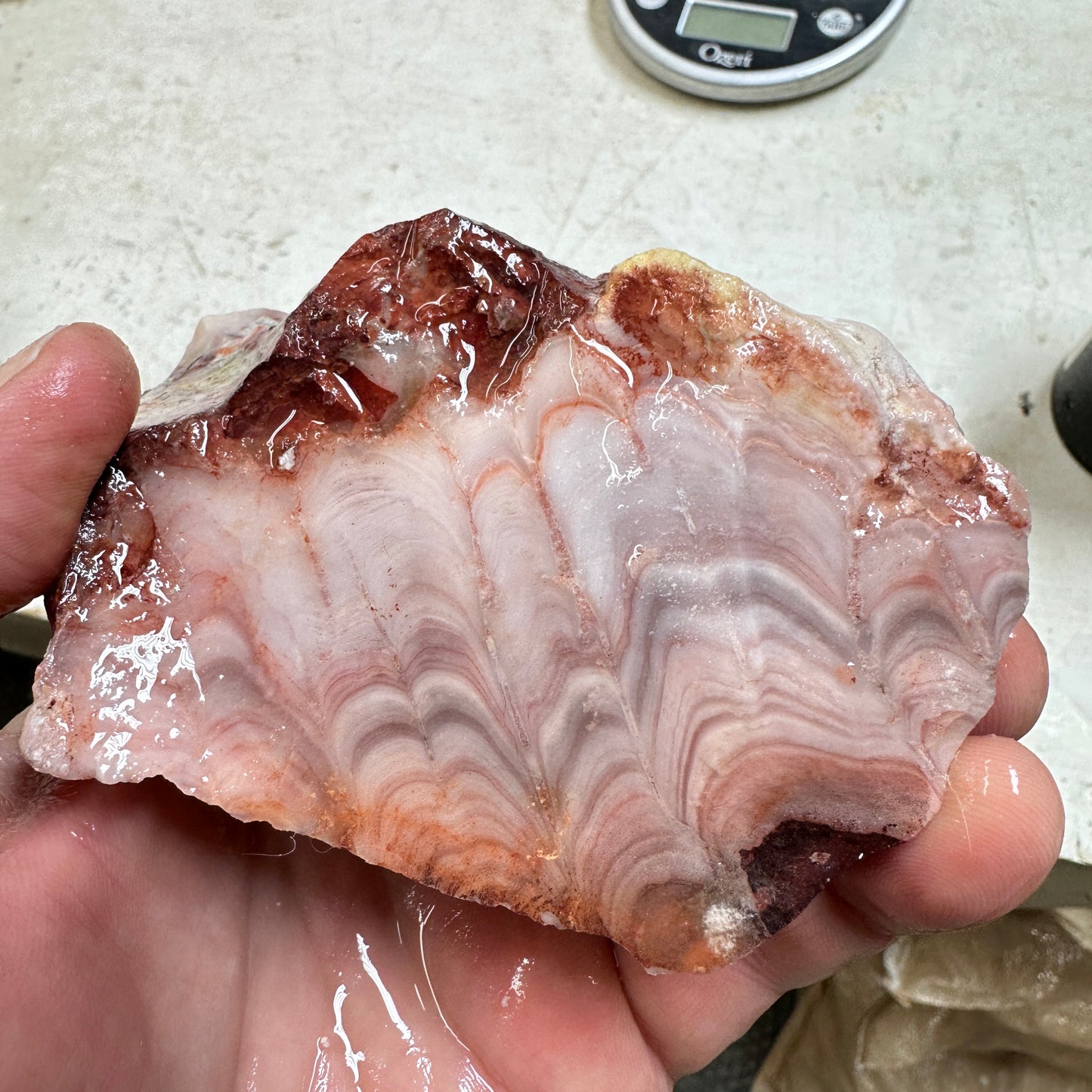 WINDY MOUNTAIN AGATE Rough - 1.21 Pounds