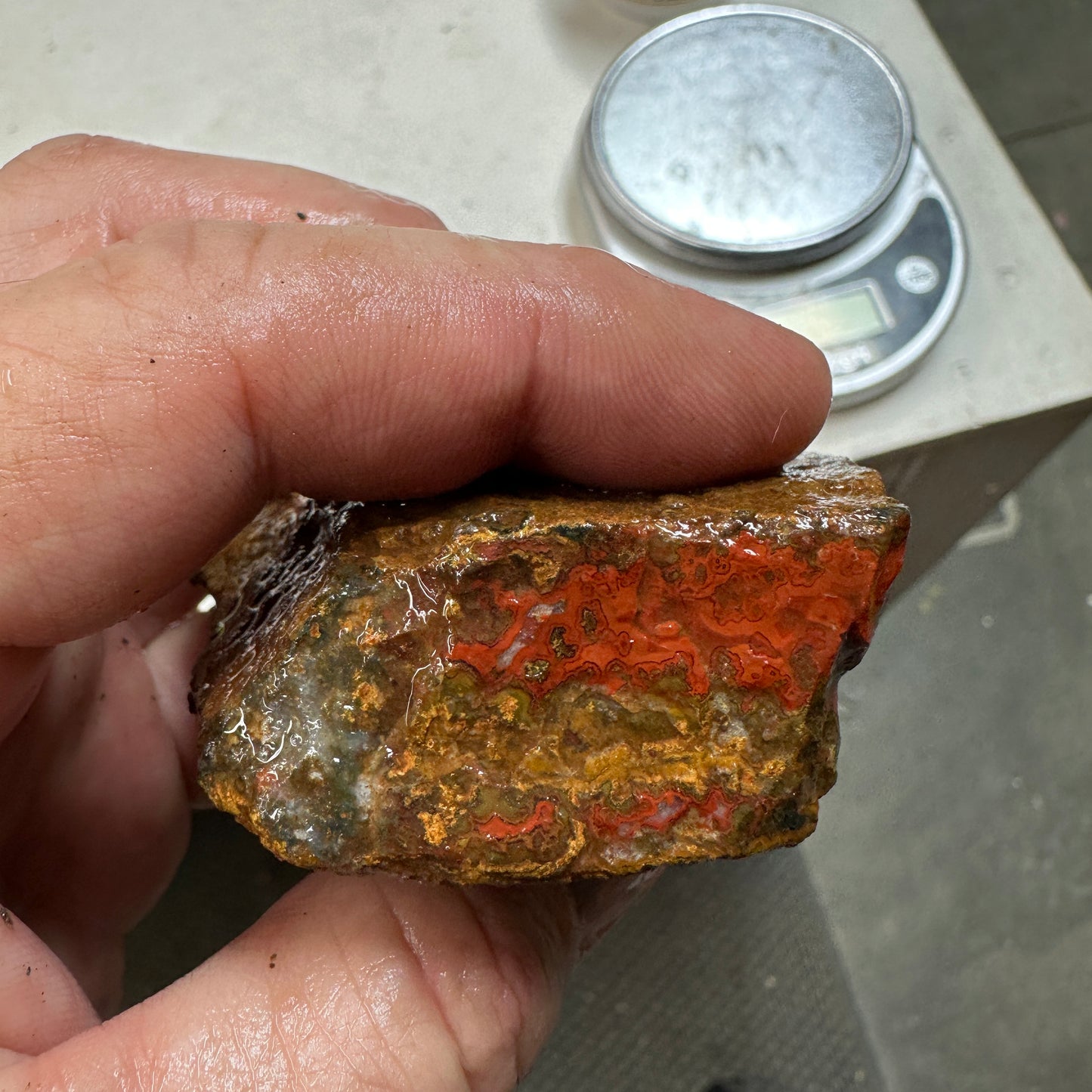 MOROCCAN SEAM AGATE Rough - 6.9ozs