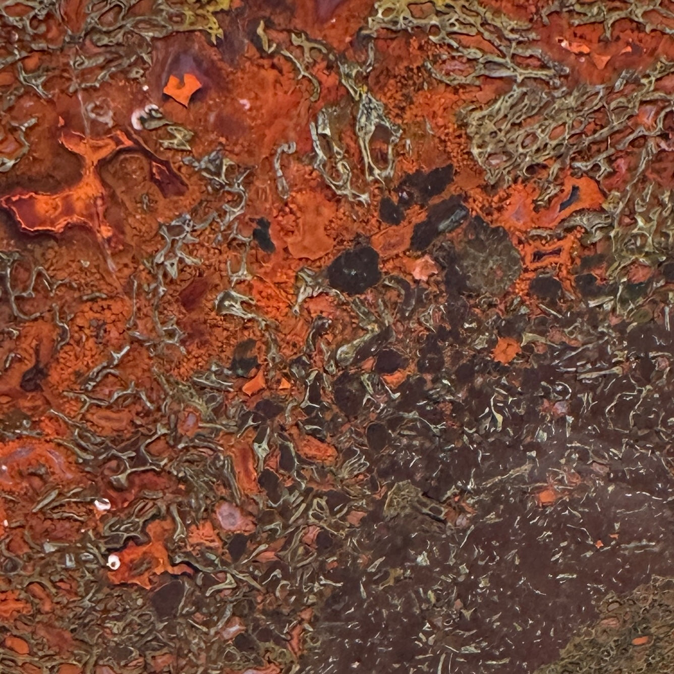 GEMBONE Dinosaur Bone Slab - 133 grams