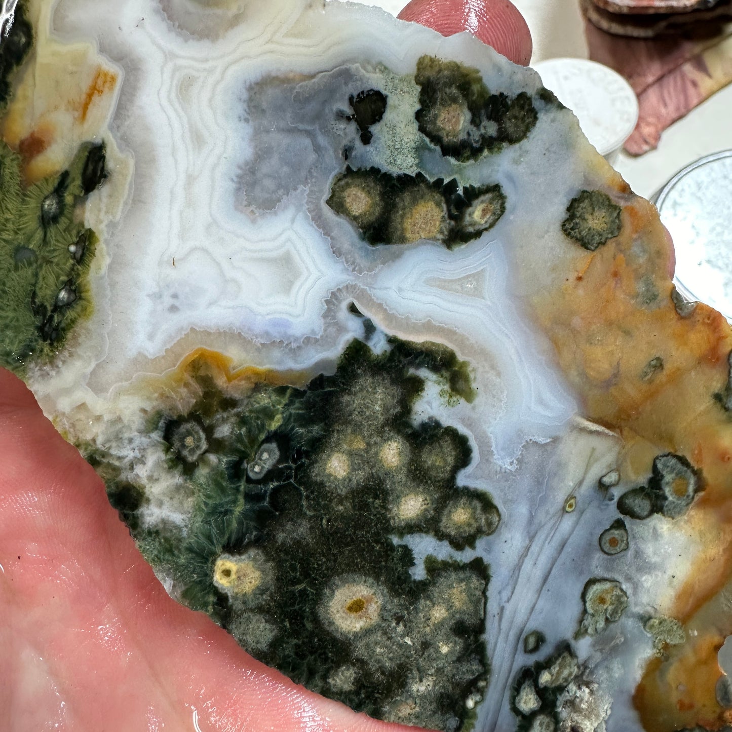 OCEAN JASPER Slab - 153 grams