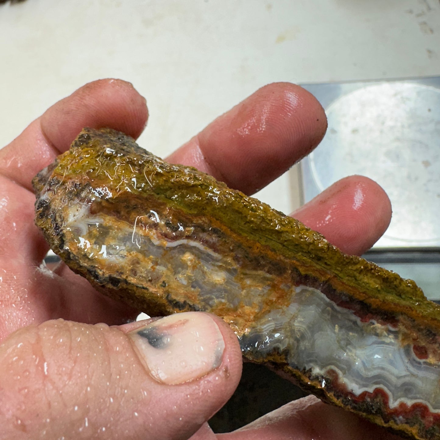 MOROCCAN SEAM AGATE Rough - 0.48 Pounds