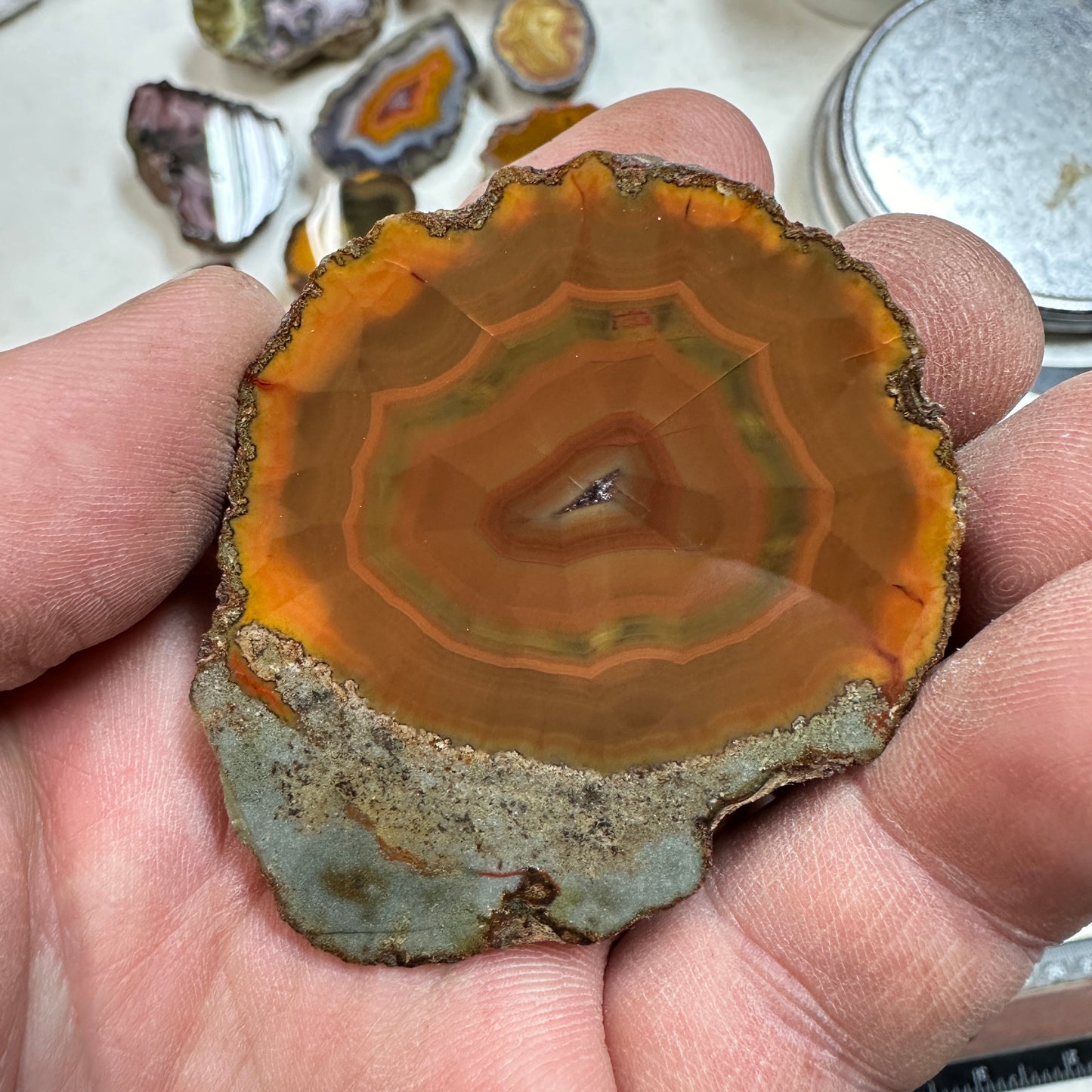 CONDOR AGATE Polished Specimen