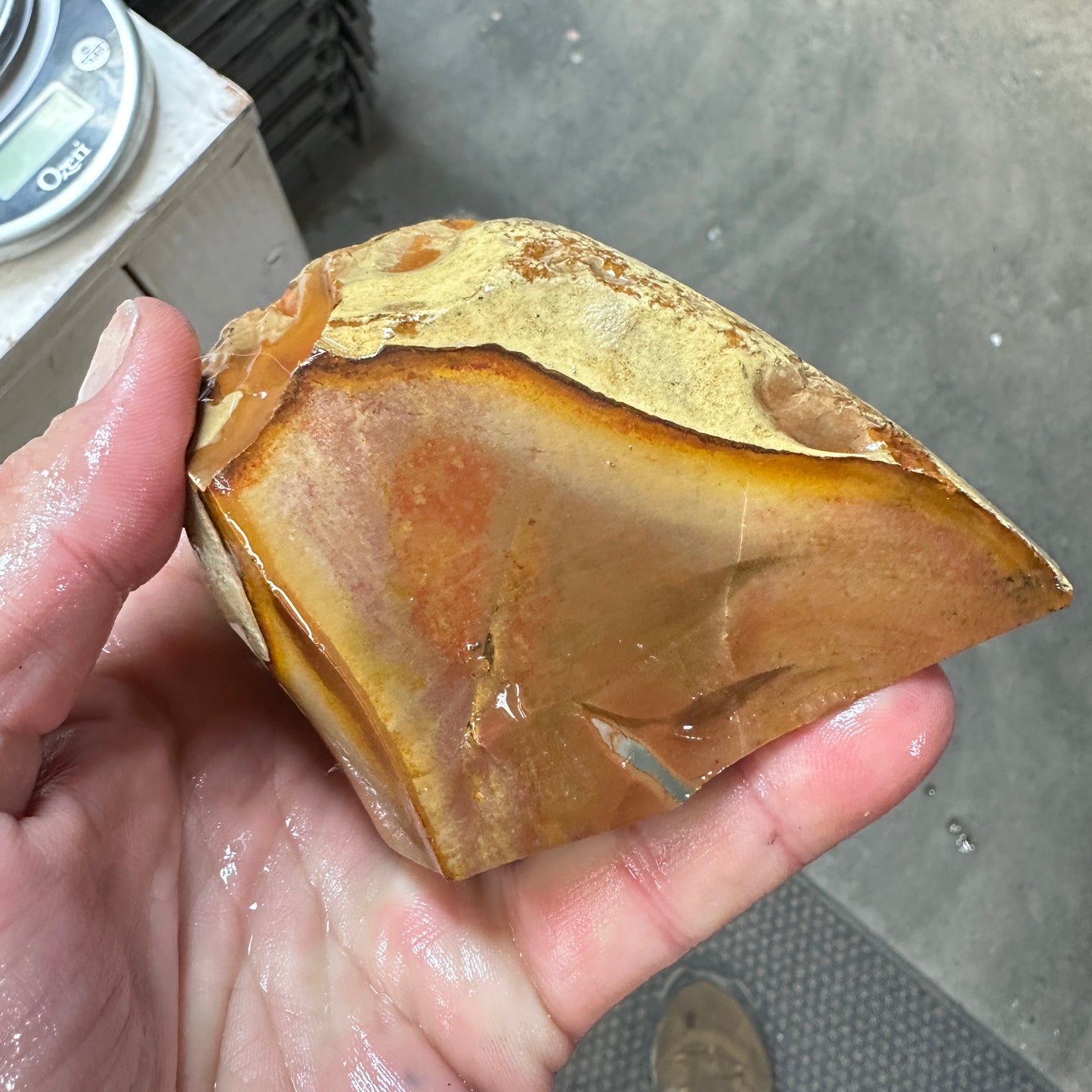 MISTY MOUNTAIN JASPER Faced Rough - 1.54 Pounds