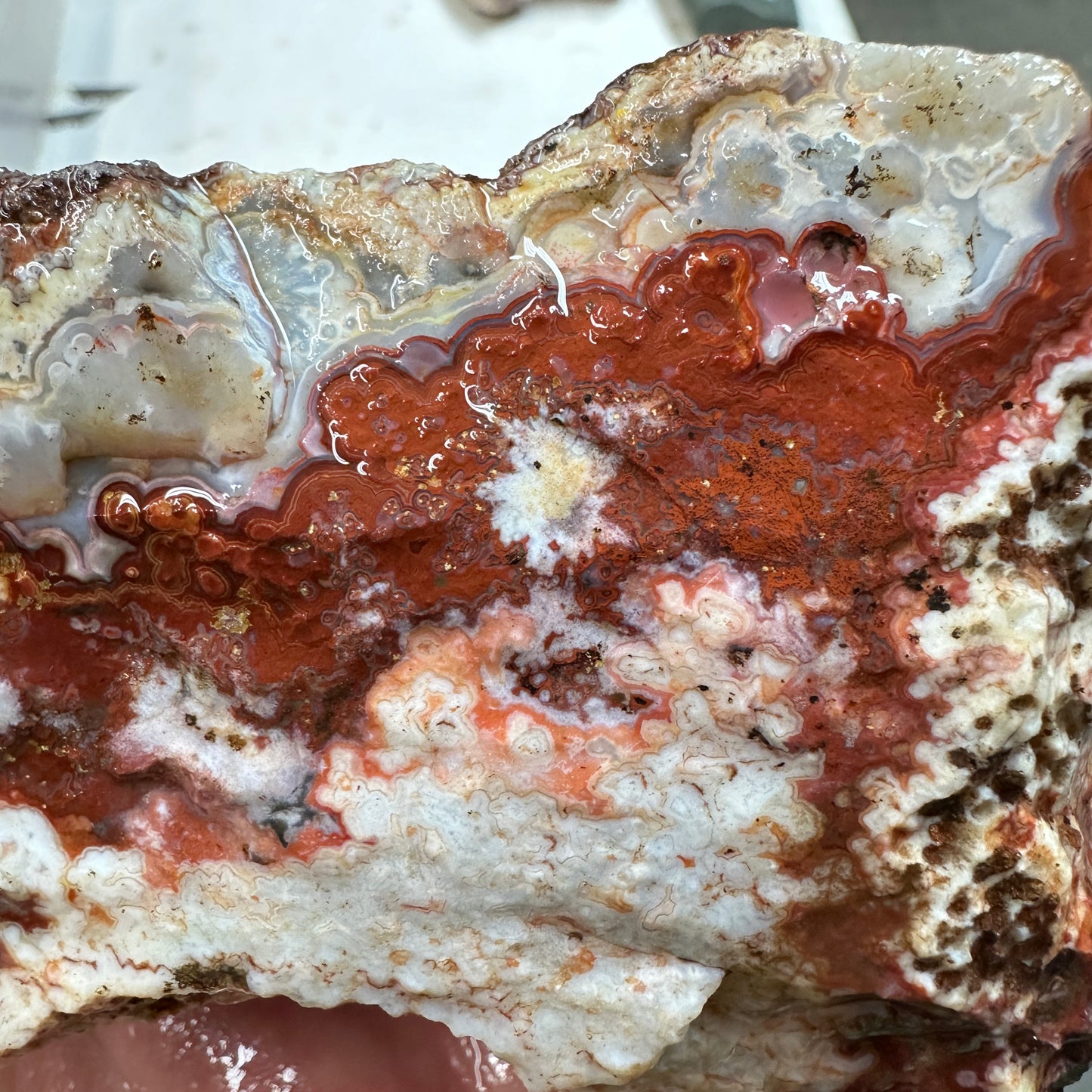 CRAZY LACE AGATE Rough - 1.76 Pounds