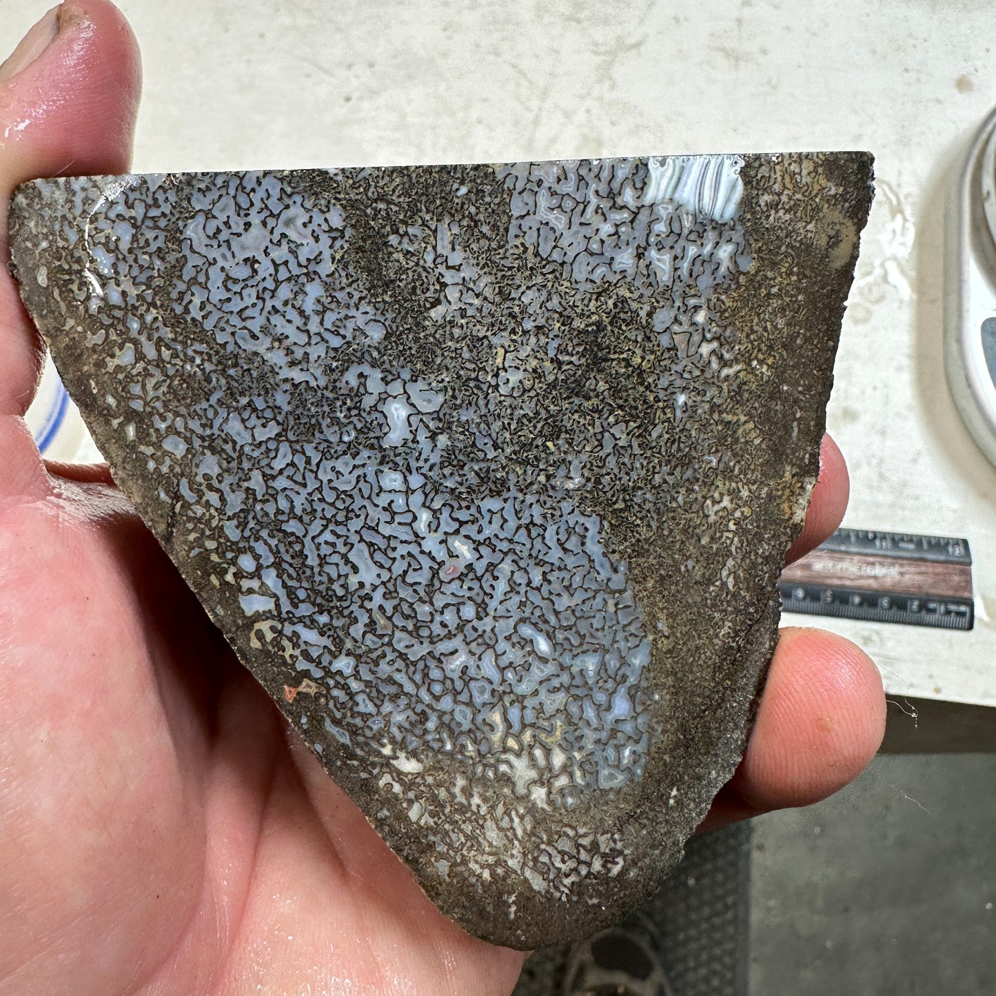 GEMBONE Dinosaur Bone Faced Rough - 2.11 Pounds