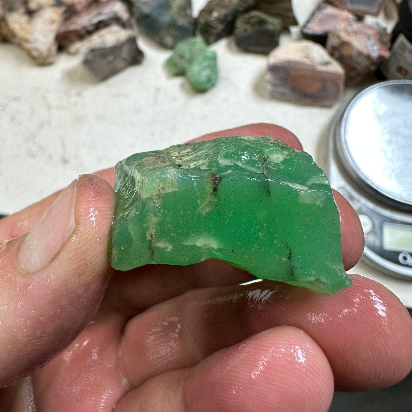 Tanzanian CHRYSOPRASE Rough 50.7 grams
