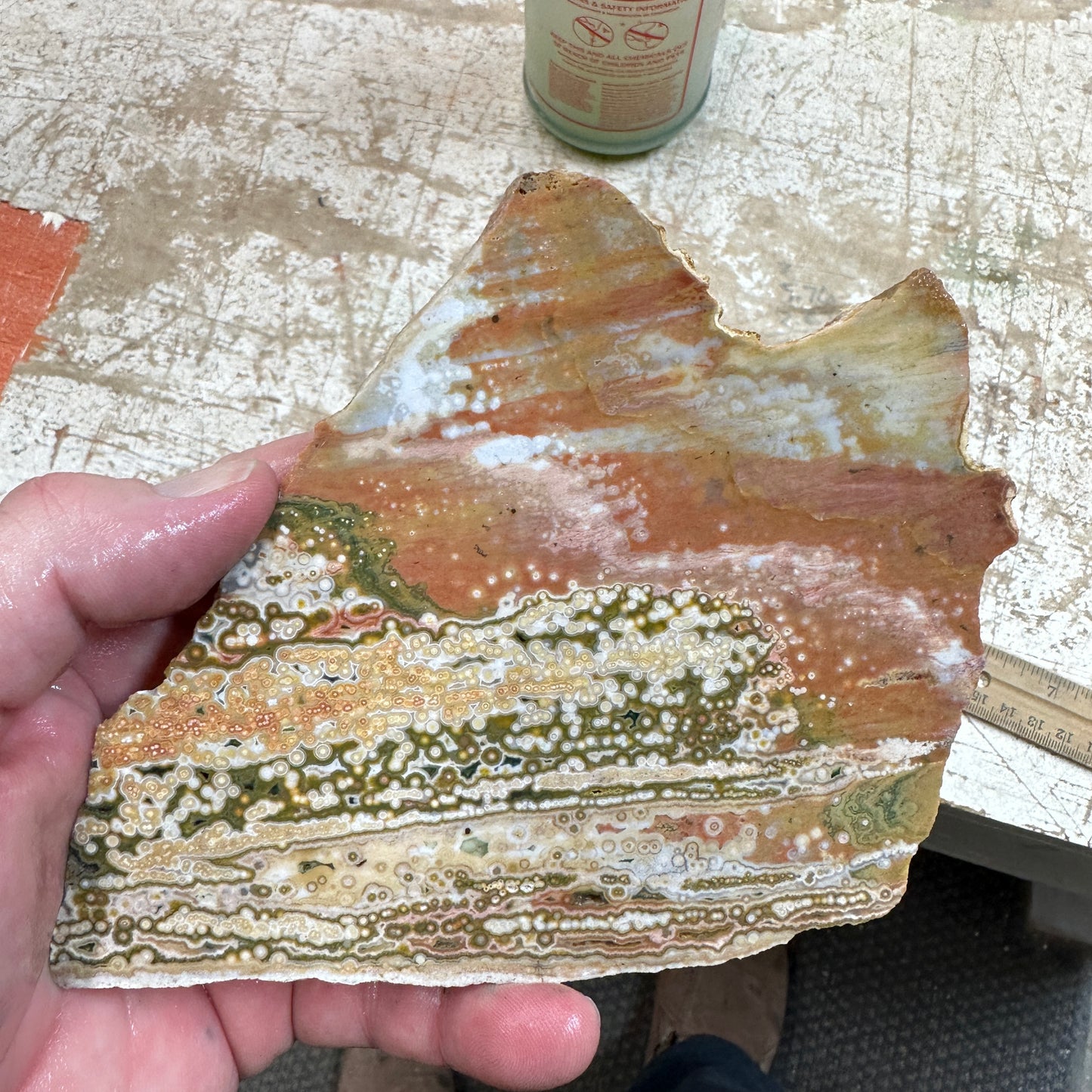 OCEAN JASPER Slab - 234 grams