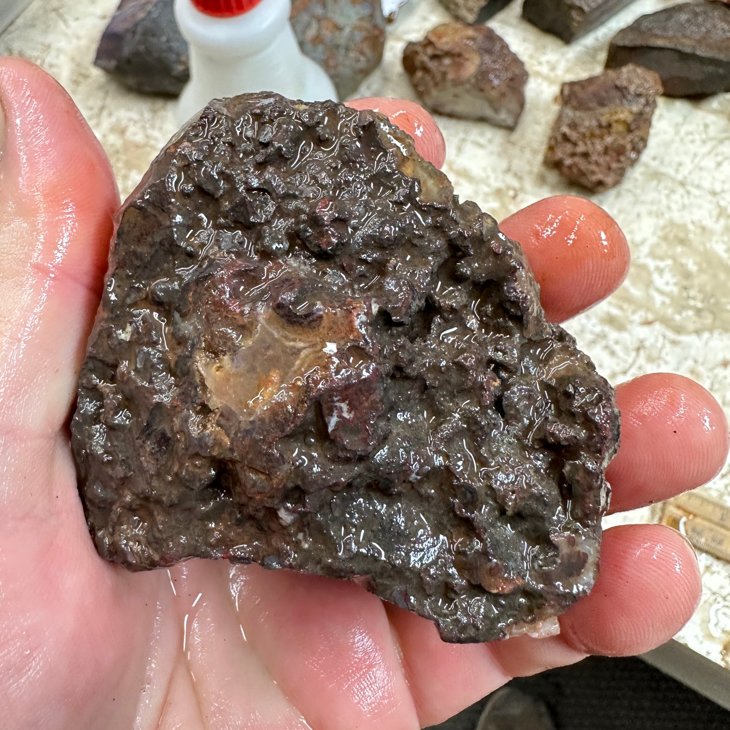 MOROCCAN AGATE Rough - 0.88 Pounds