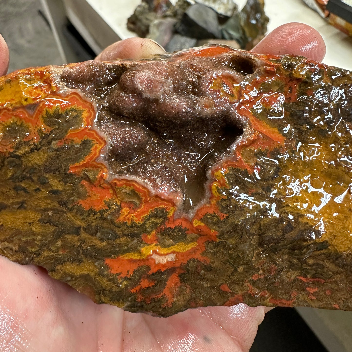 MOROCCAN SEAM AGATE Faced Rough - 1.39 Pounds