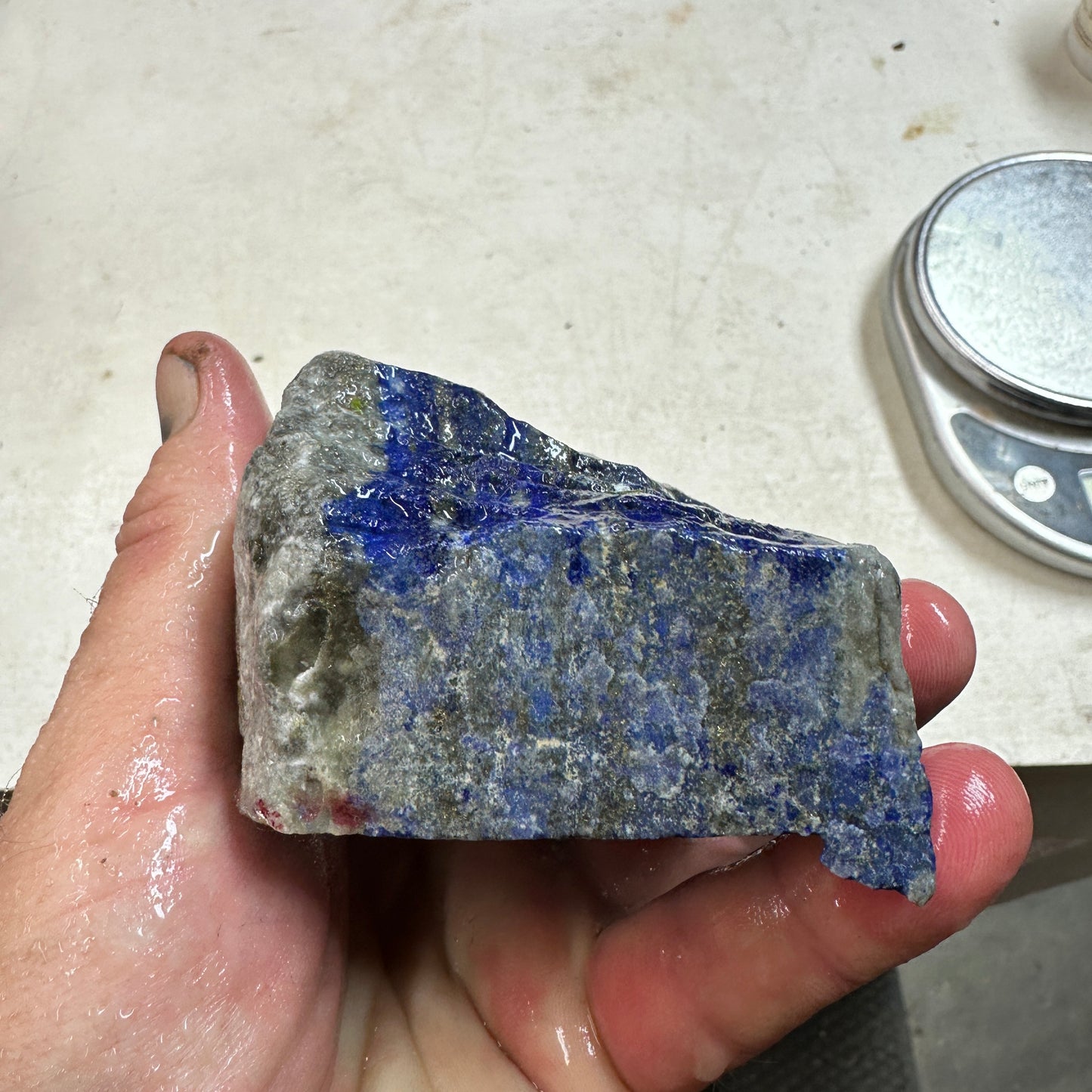 LAPIS LAZULI Faced End Cut Rough - 1.95 Pounds